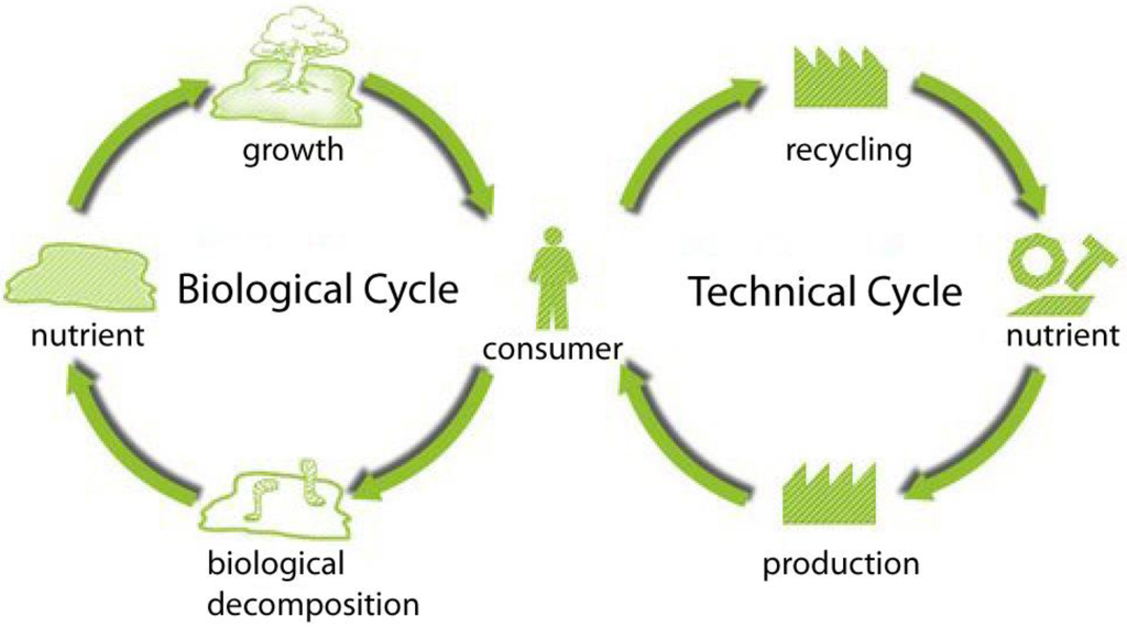 Essay on environment and sustainable development