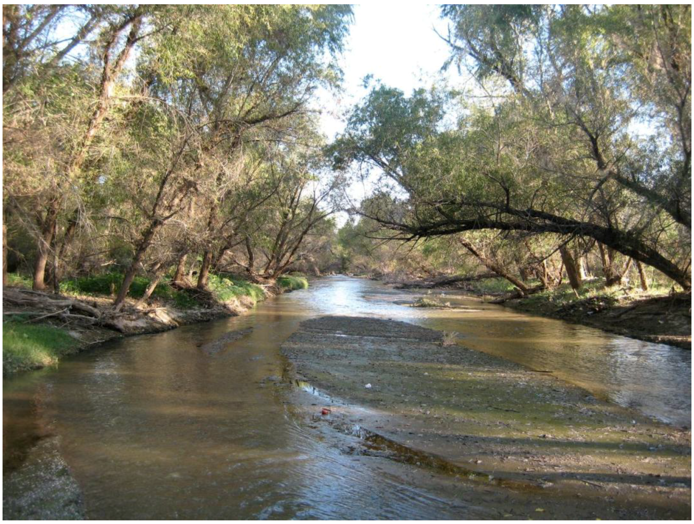 Sustainability 02 02044 g004