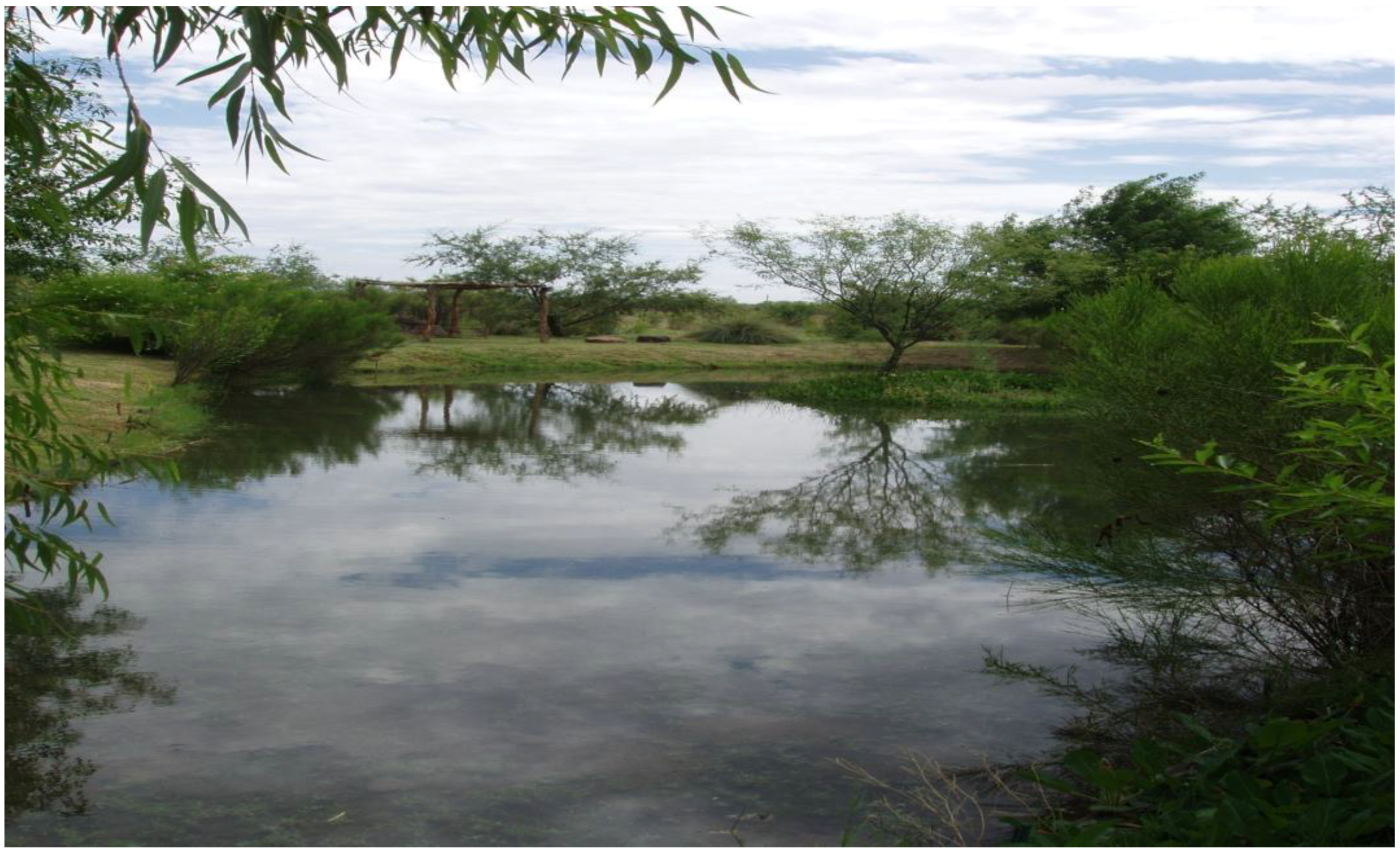 Sustainability 02 02044 g006