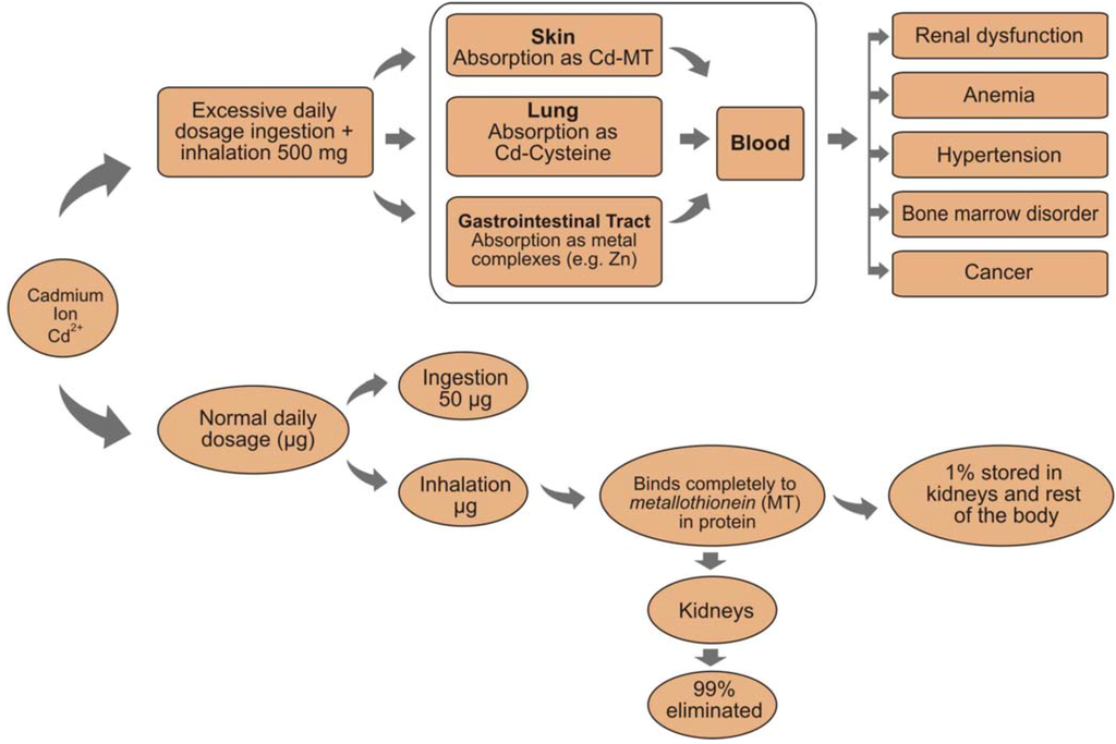 cause and effect of crime essay cause and effect of crime essay