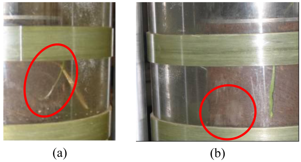 Sustainability 03 00069f11 1024