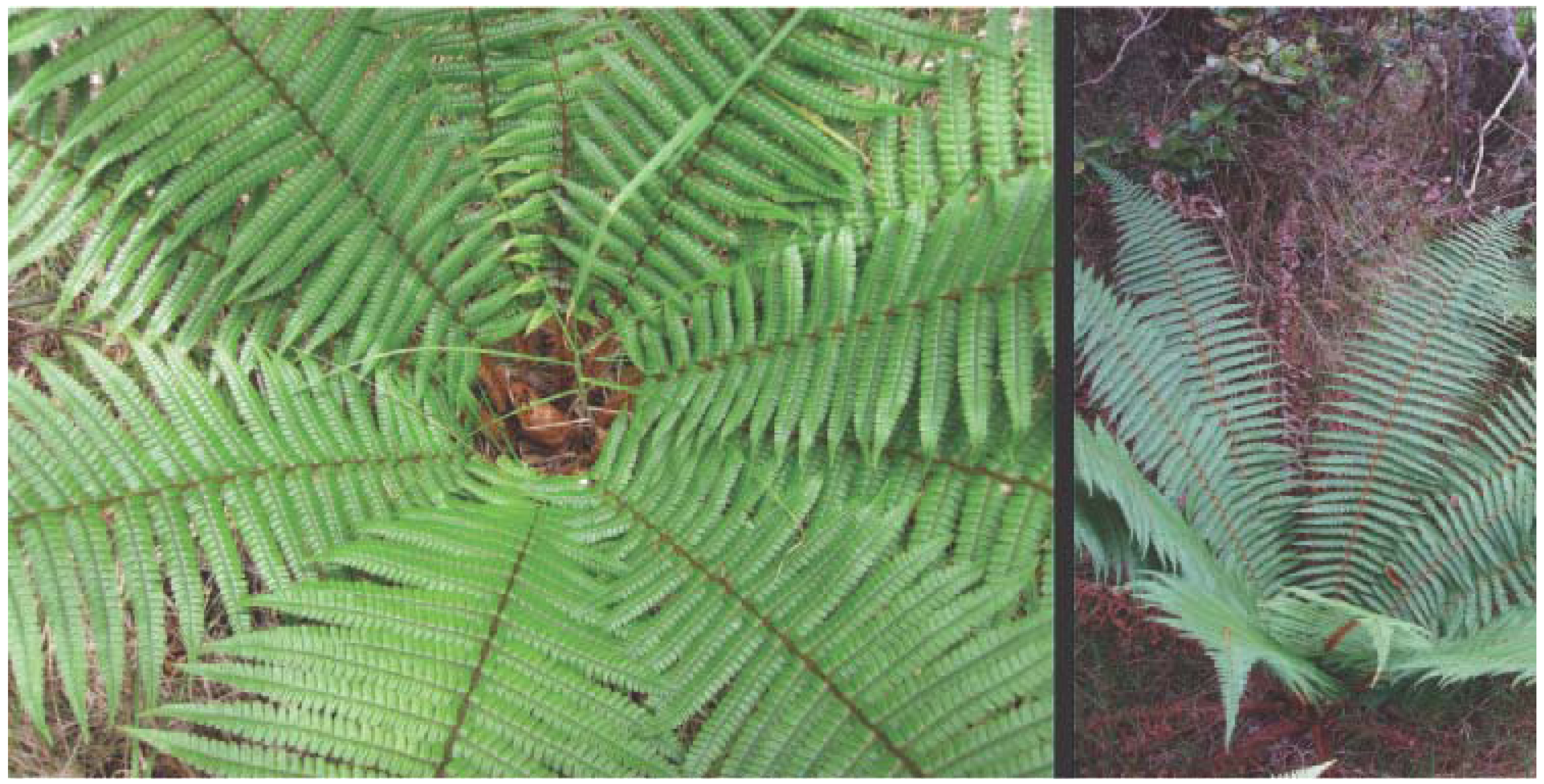 Sustainability 05 01317 g001