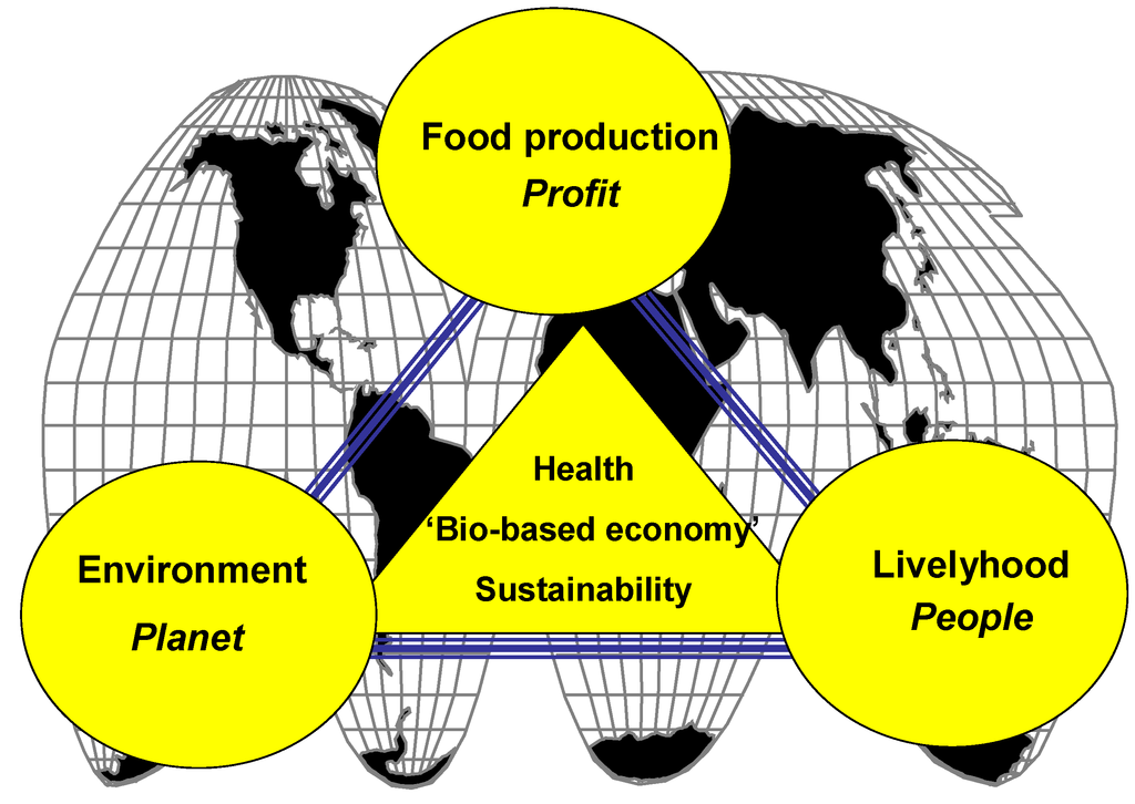 Sustainability 05 01632 g001 1024