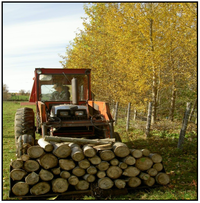 Sustainability 05 01893 g006 200