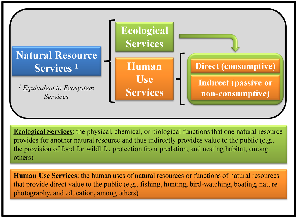 Sustainability 05 02152 g007 1024