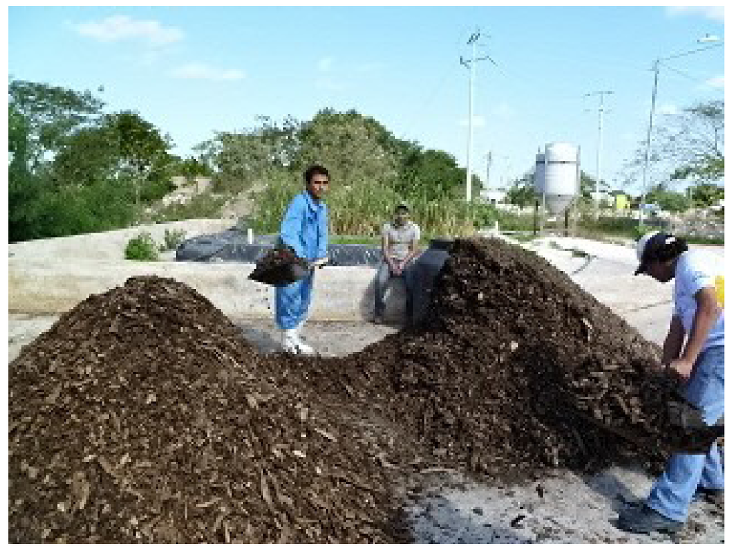 Sustainability 05 03150 g002 1024
