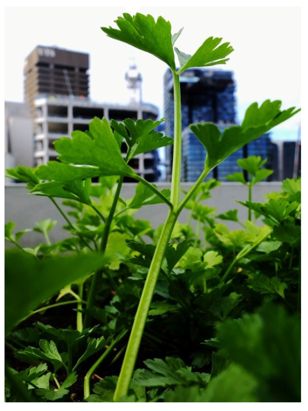 Sustainability 06 00474 g005 1024