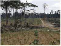 Sustainability 06 01868 g005 200