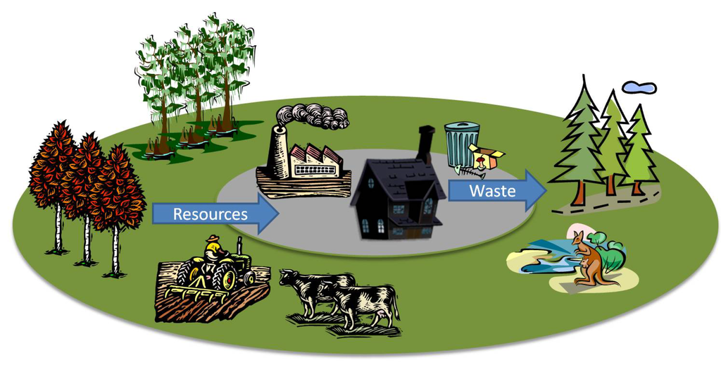 Sustainability 06 03145 g005 1024
