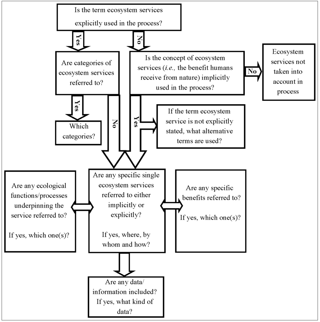 Coronary heart disease essay