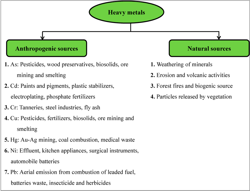 Phytoremediation of pesticides ppt presentation