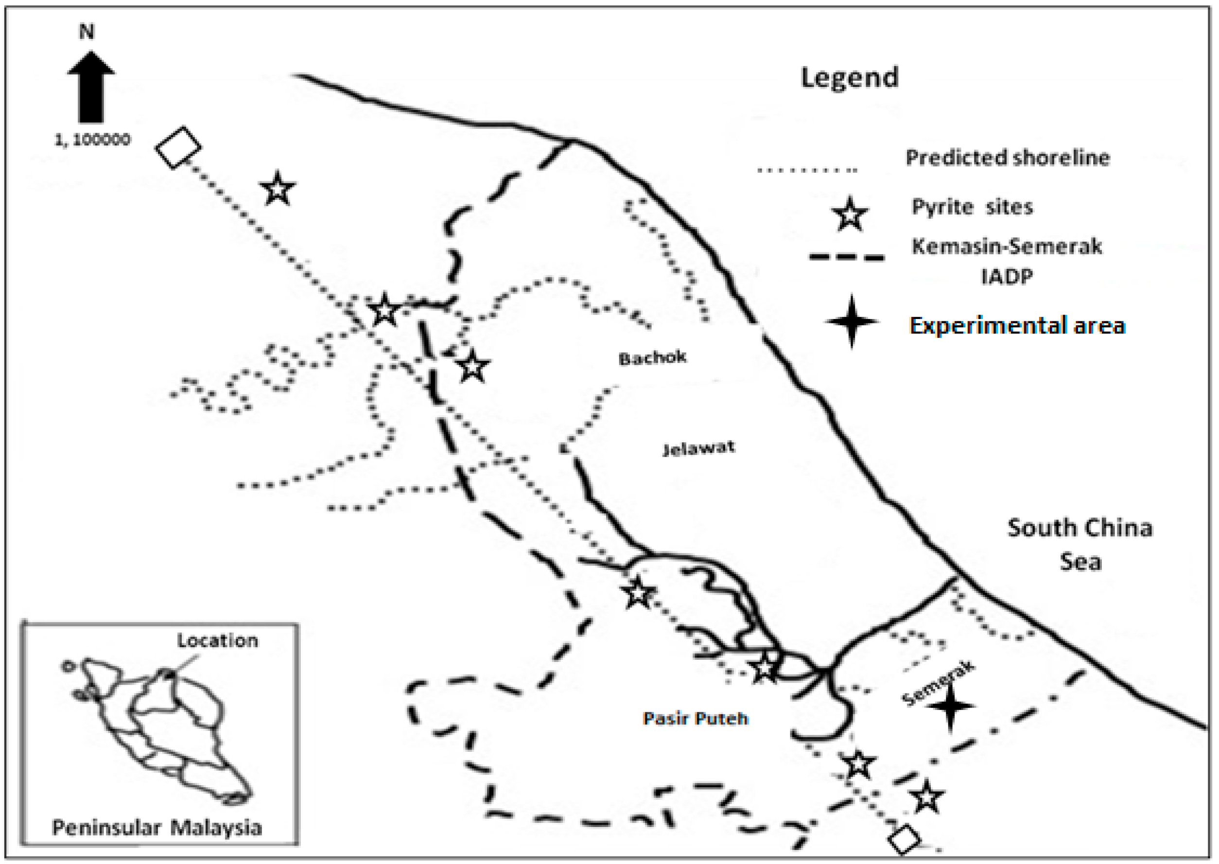 essay about city peacock