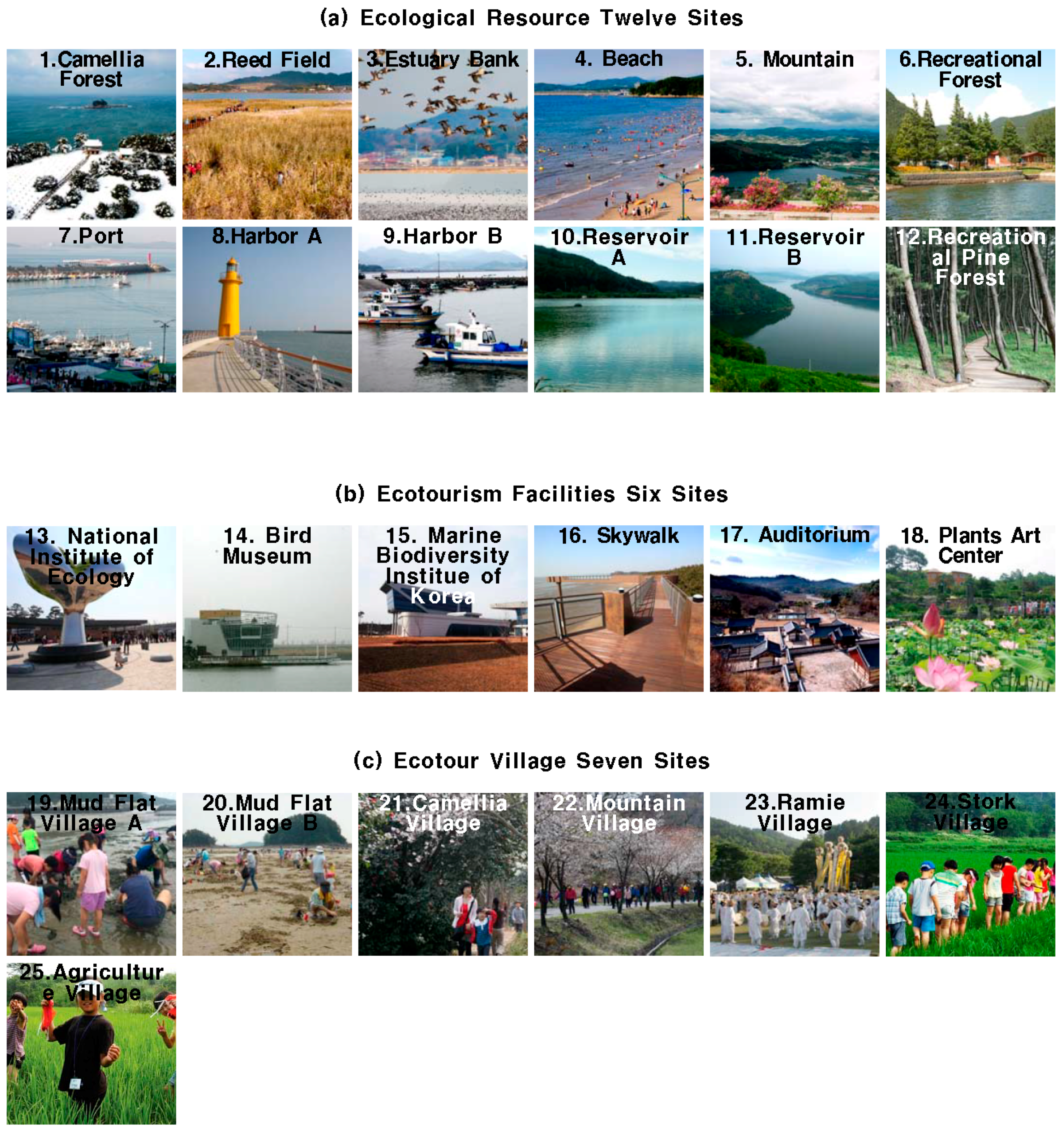 Essay on ecotourism