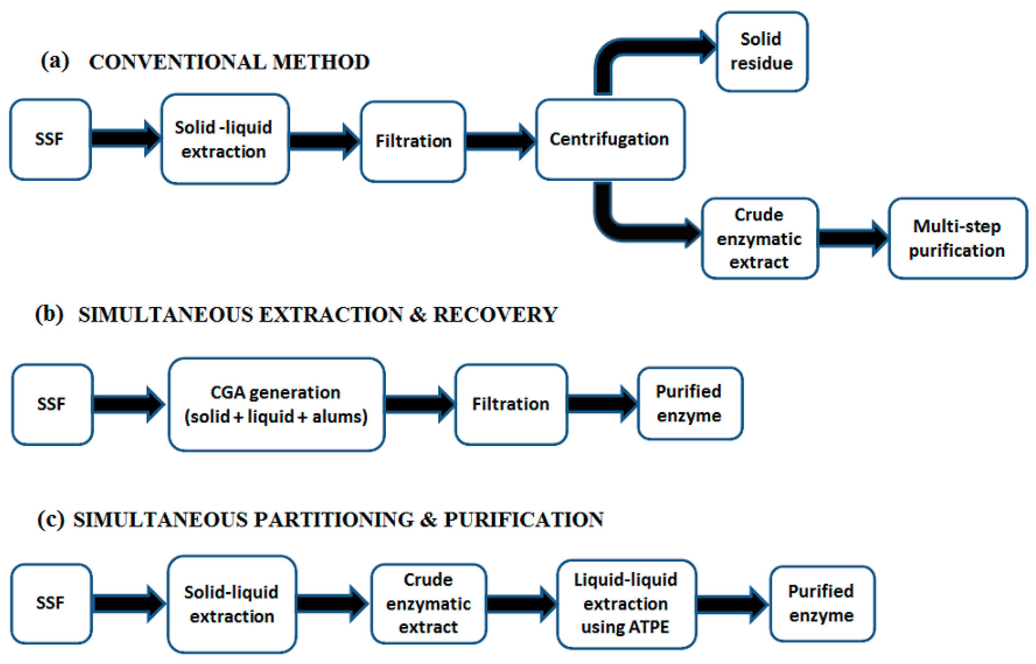 Sustainability Free Full Text Solid State Fermentation