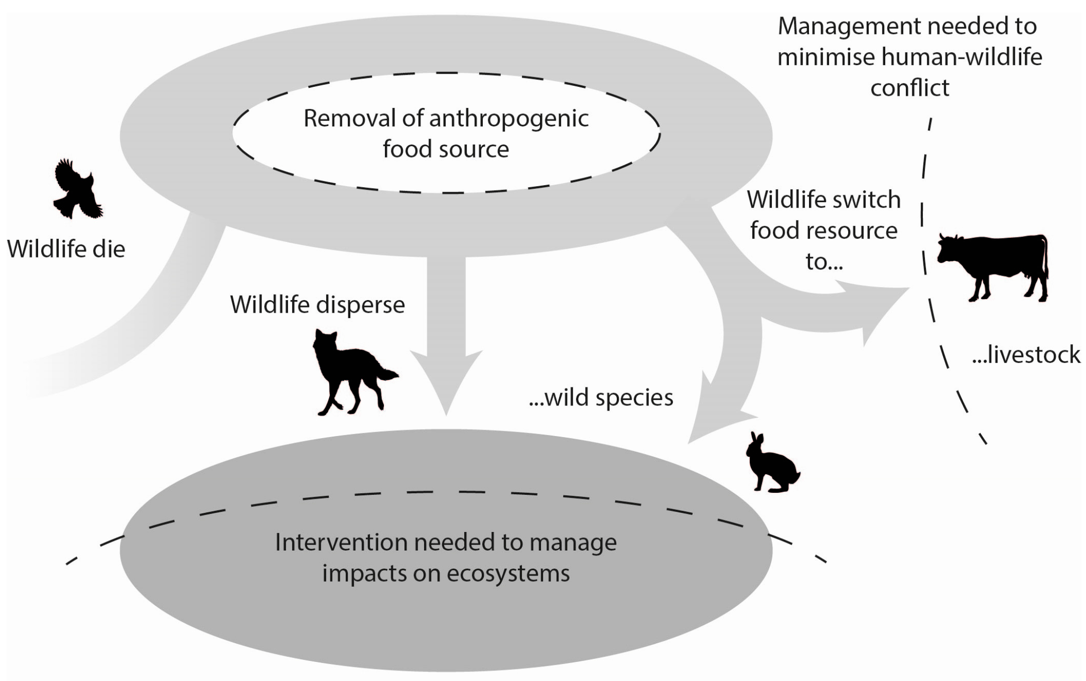 The Effects of Food Waste on Wildlife ... Biology Diagrams