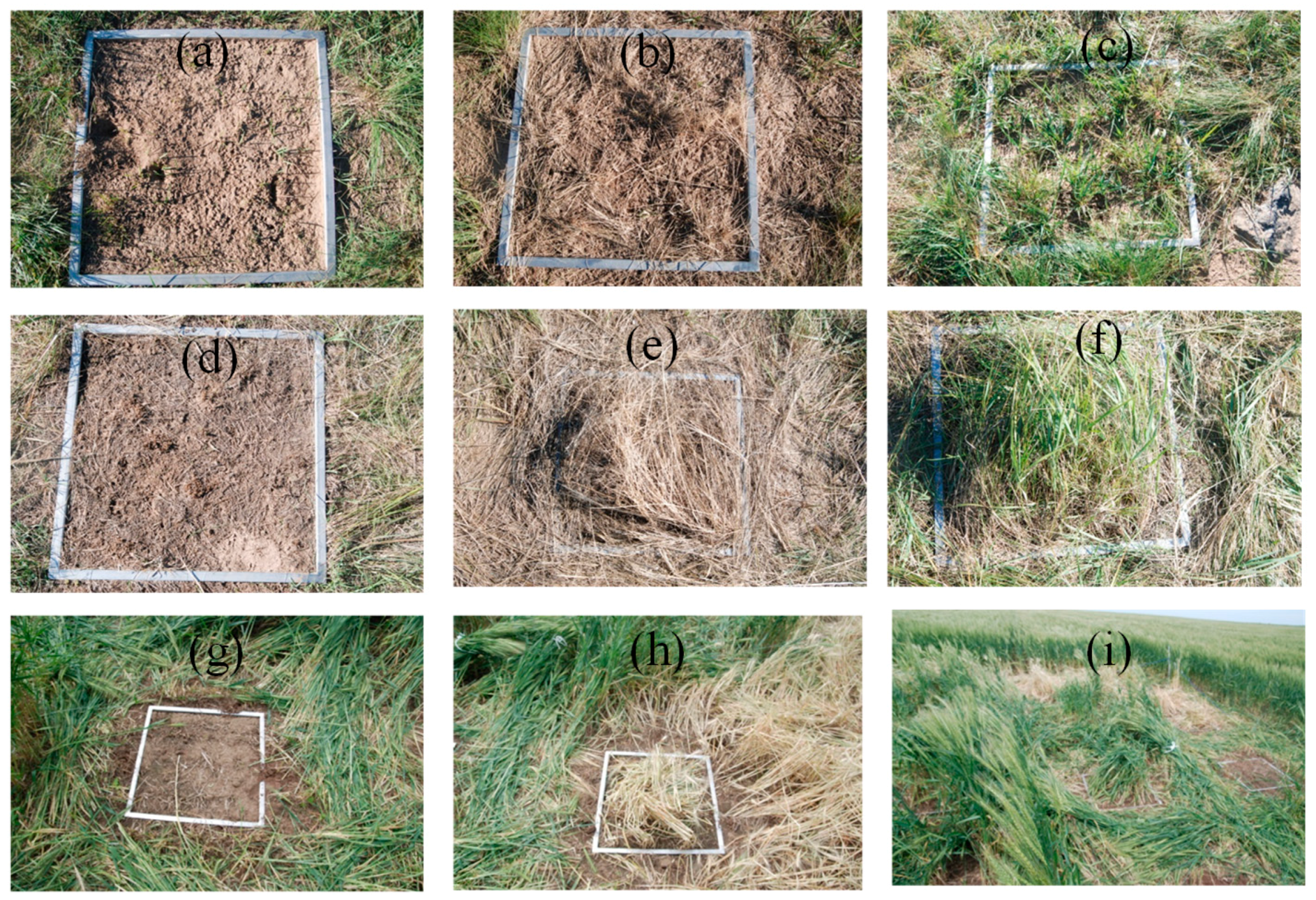 Sustainability 10 00487 g002