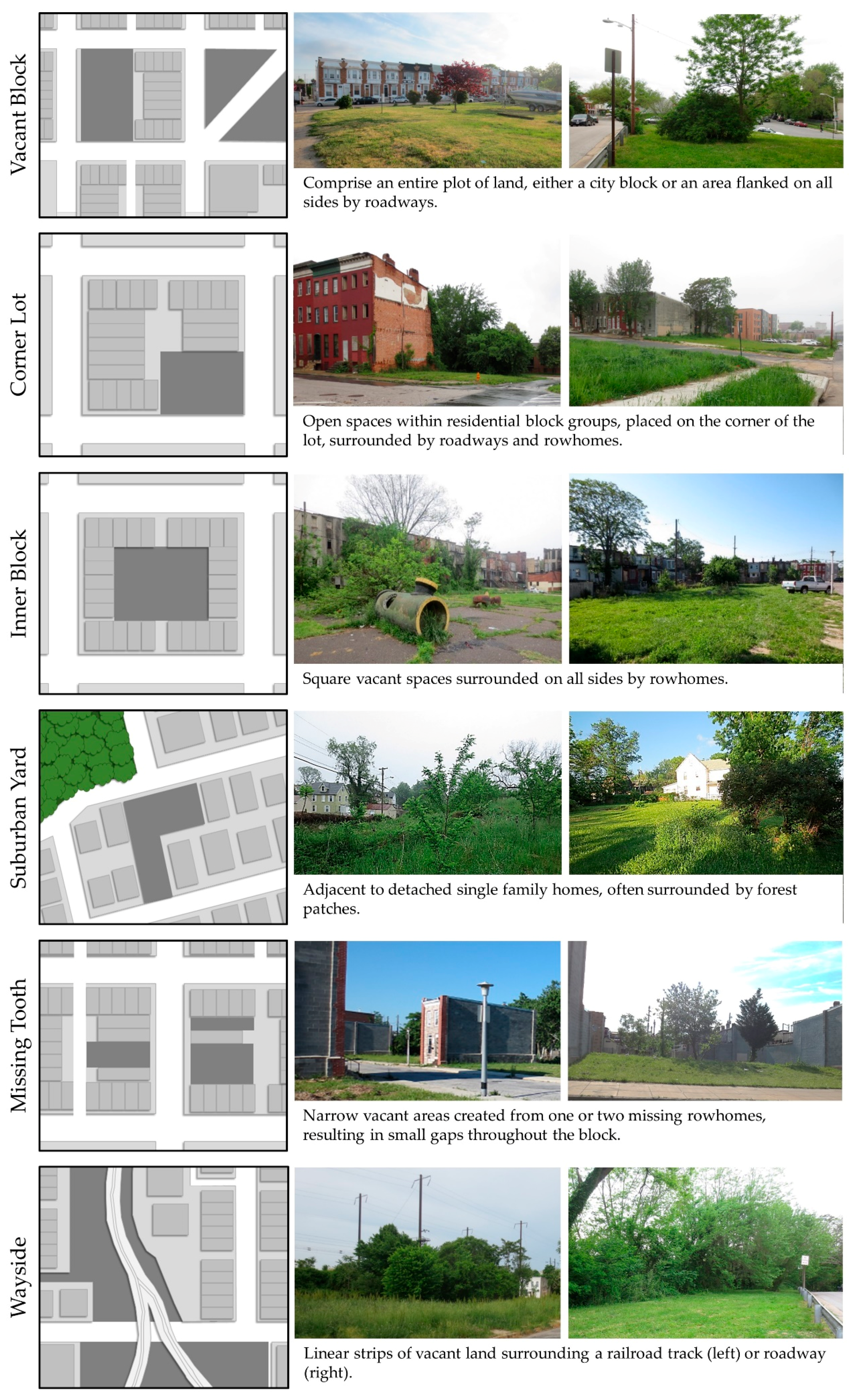 Sustainability Free FullText Balancing Urban Biodiversity Needs and Resident Preferences