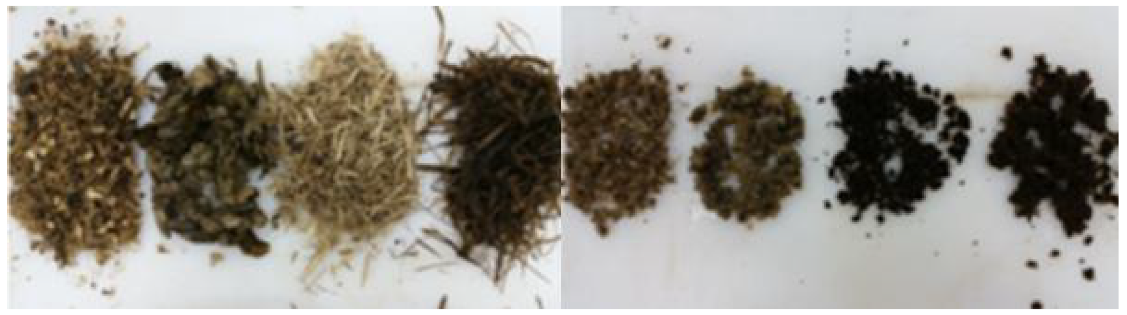 Sustainability 10 03669 g001