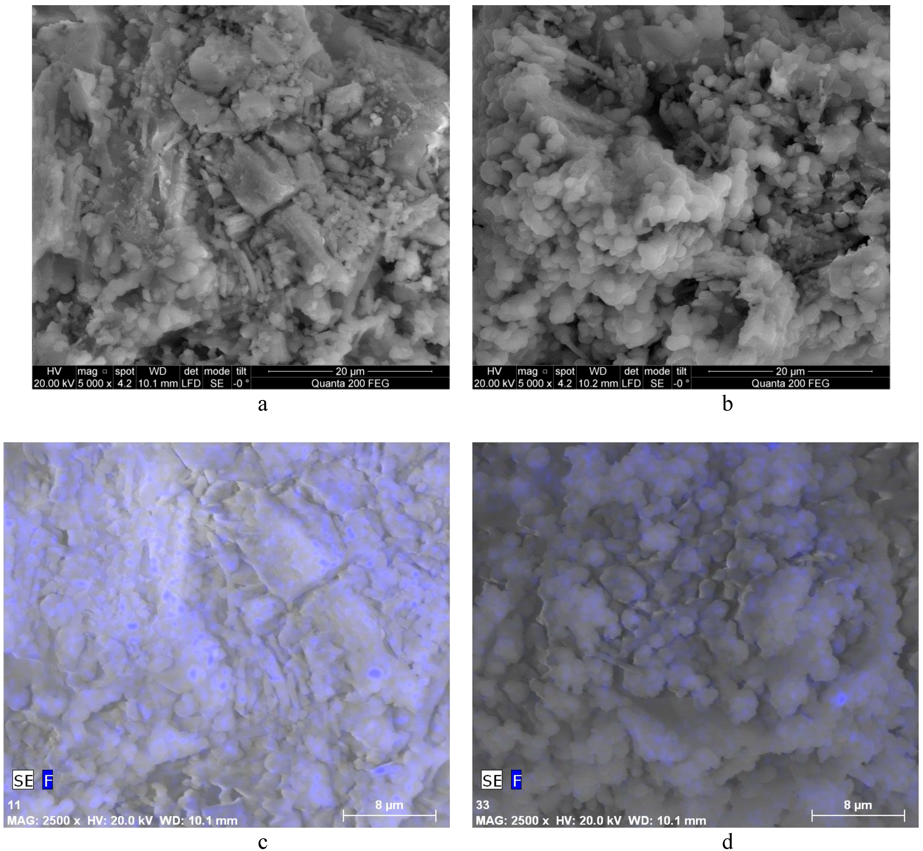 Sustainability 11 00634 g005