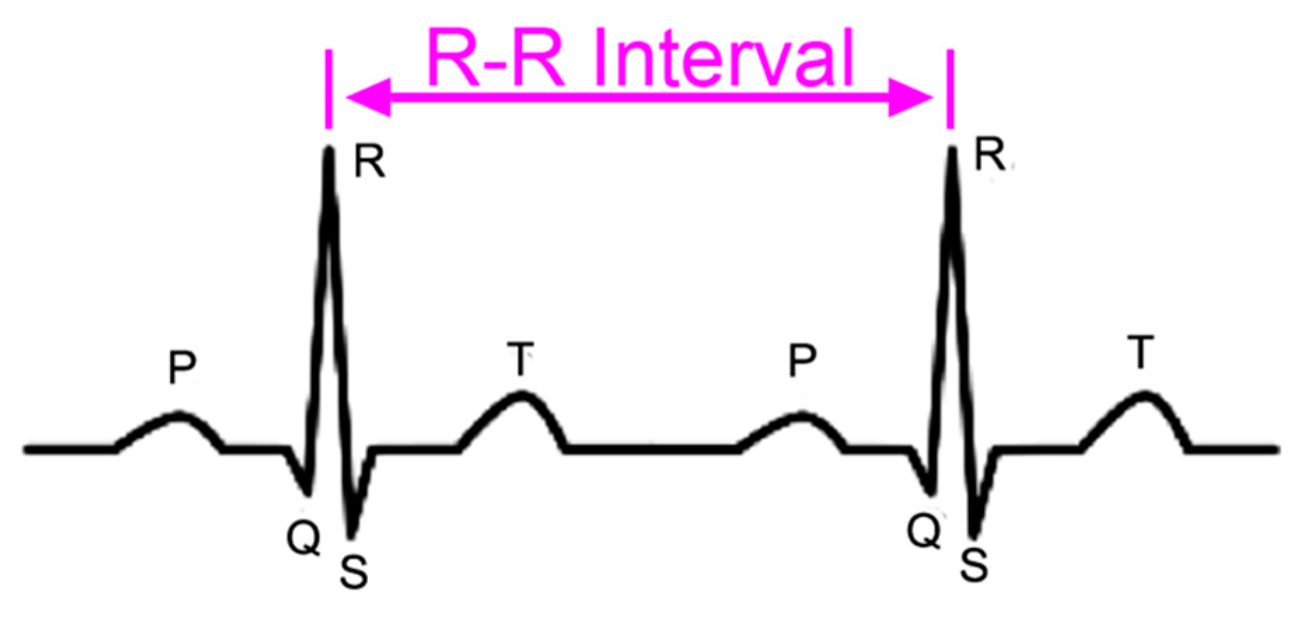Sustainability 11 00817 g001