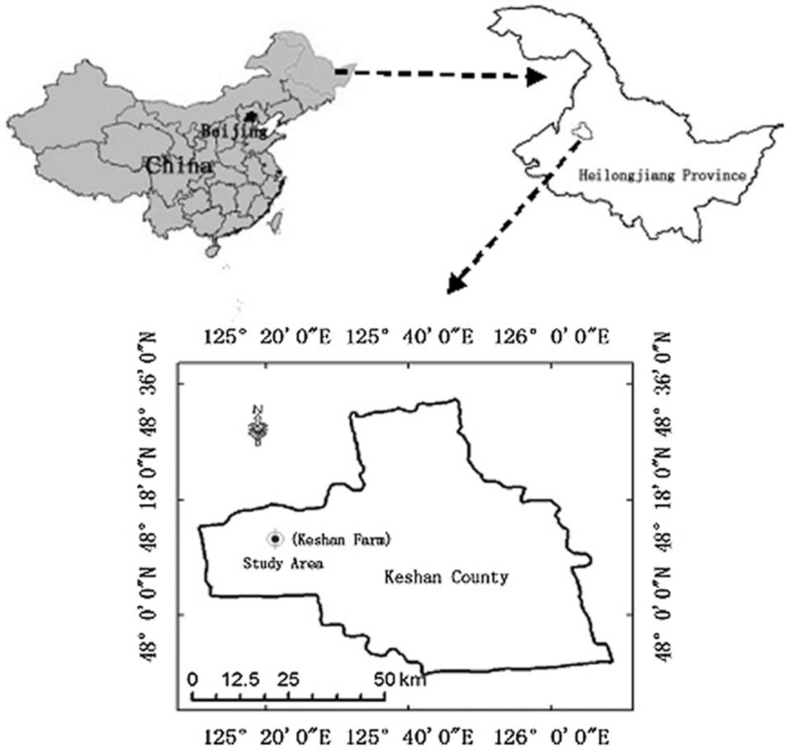 Sustainability 11 01006 g001