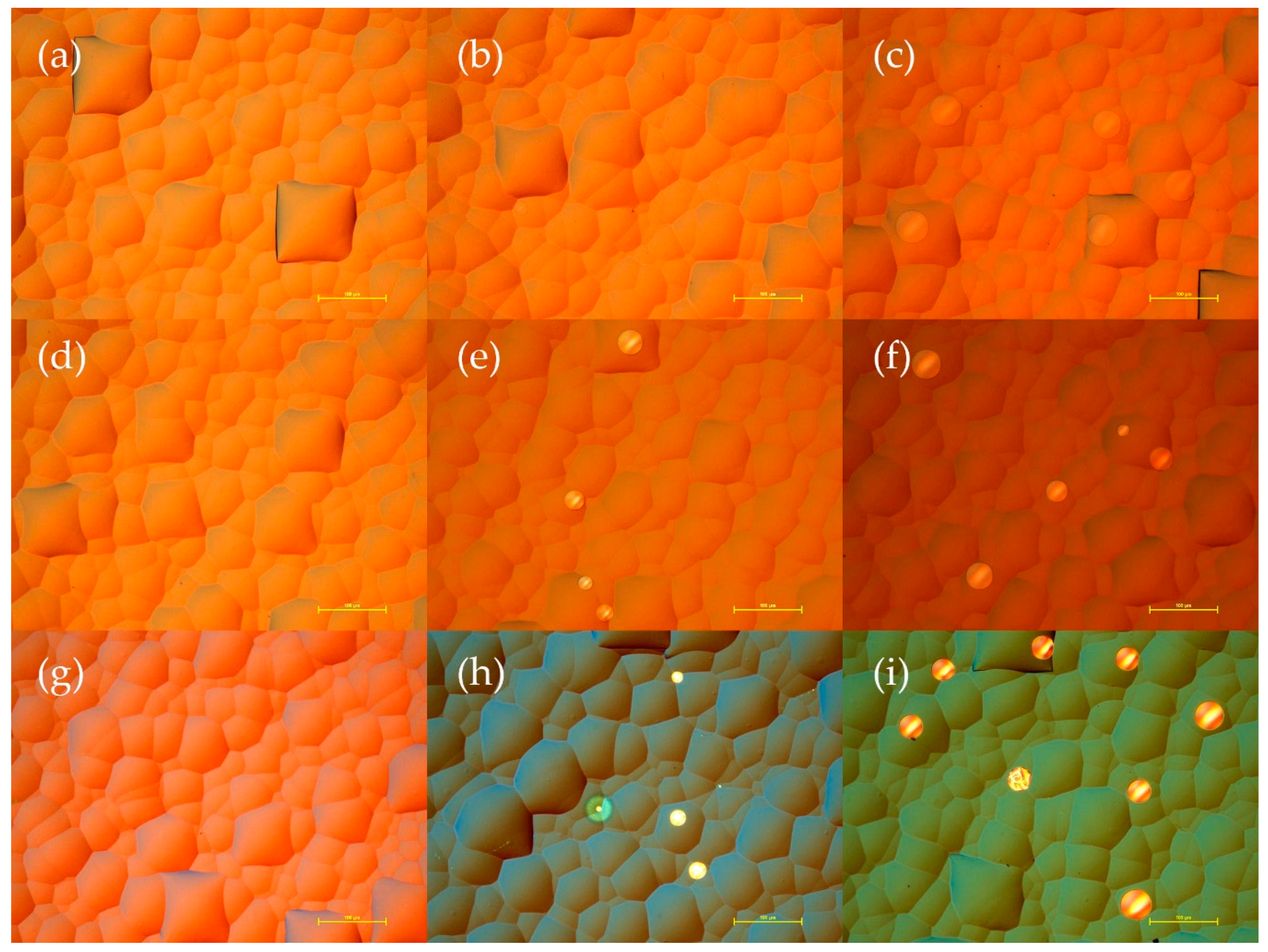 Sustainability 11 03857 g004