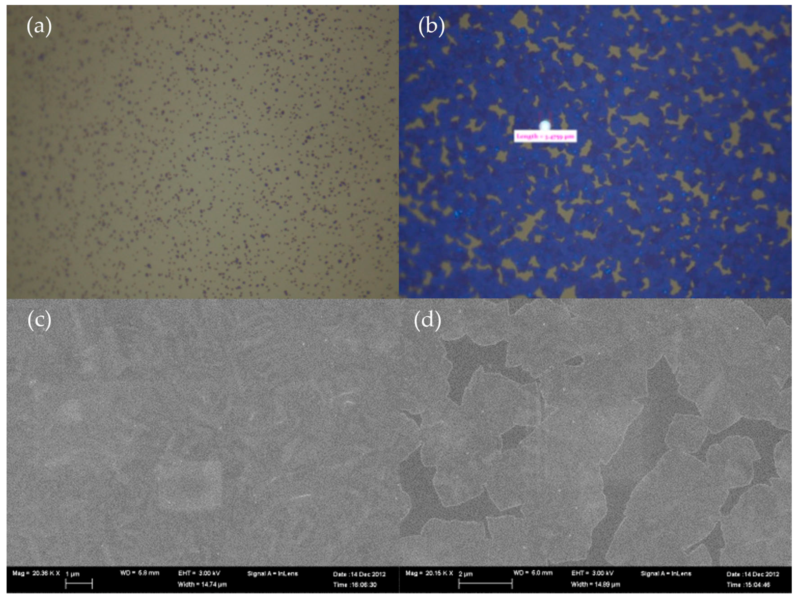 Sustainability 11 03857 g008