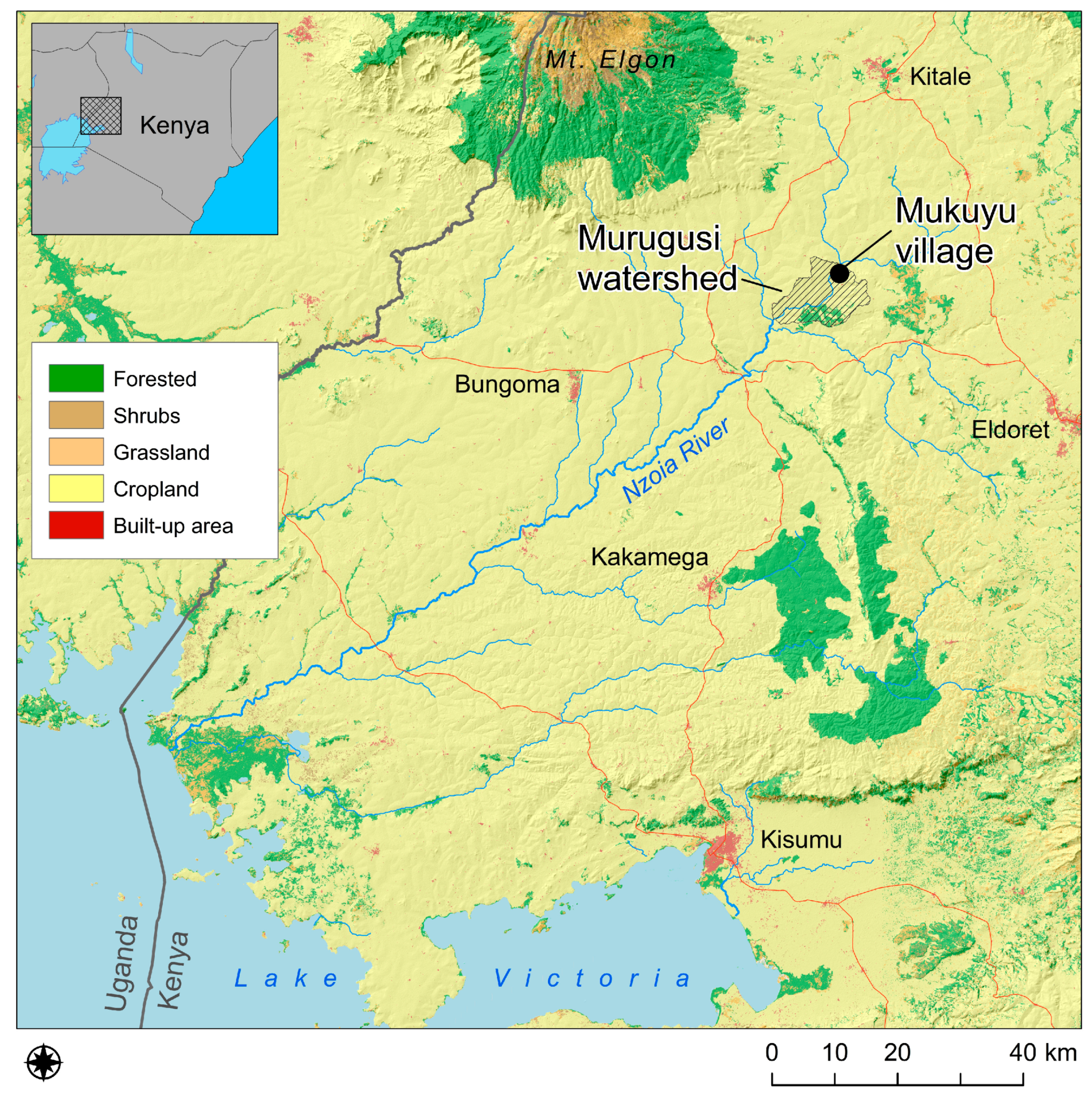 Sustainability 11 04038 g001