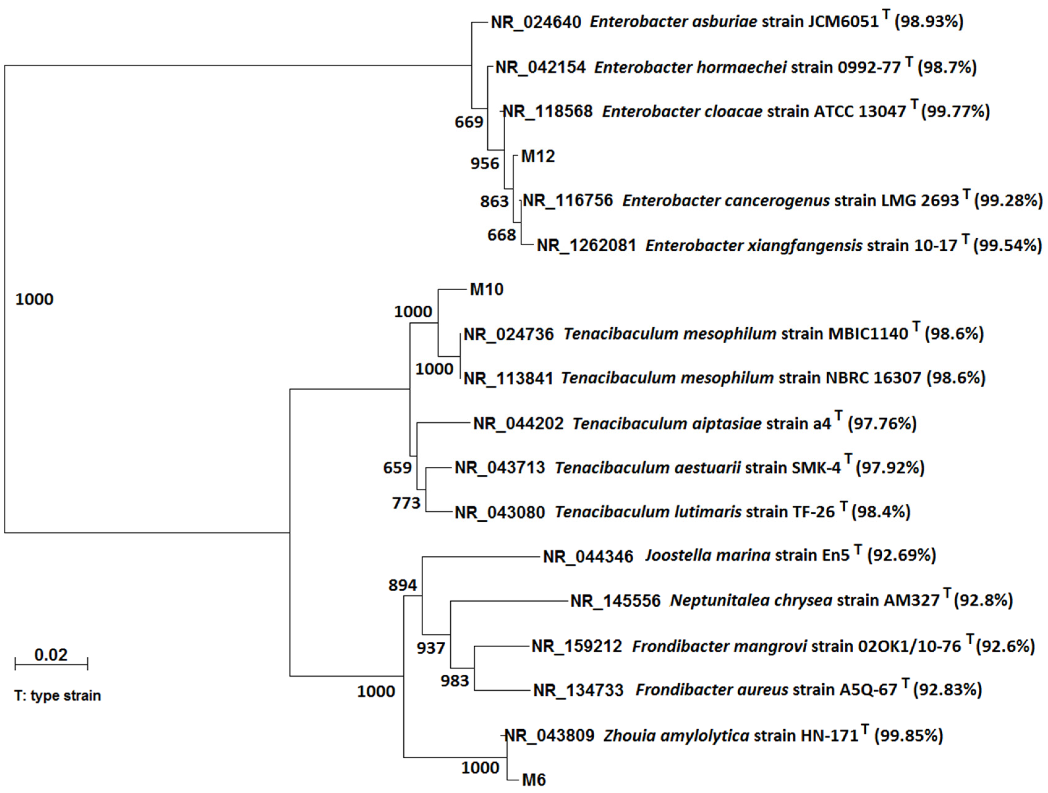 Sustainability 11 04179 g004