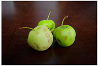 Sustainability 11 06949 i001