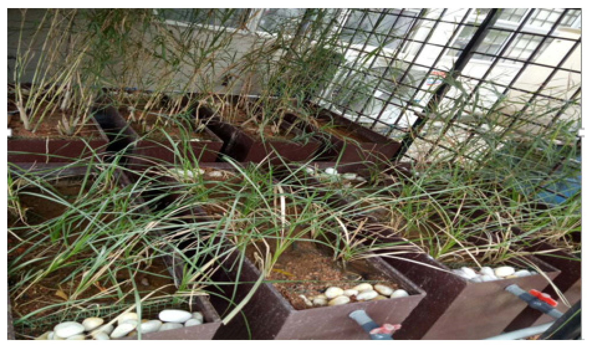 Sustainability 12 03357 g002