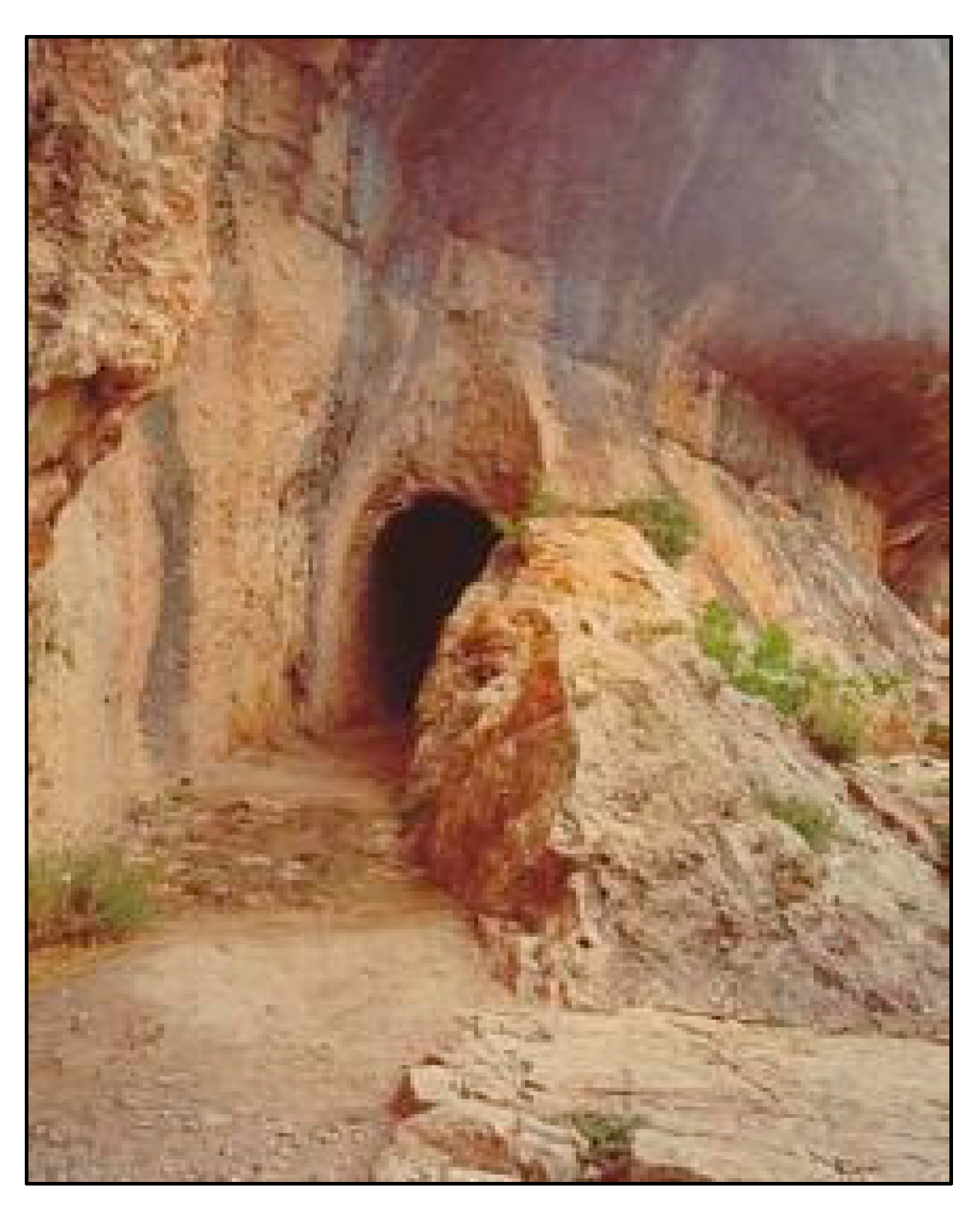 Sustainability 12 08983 g011