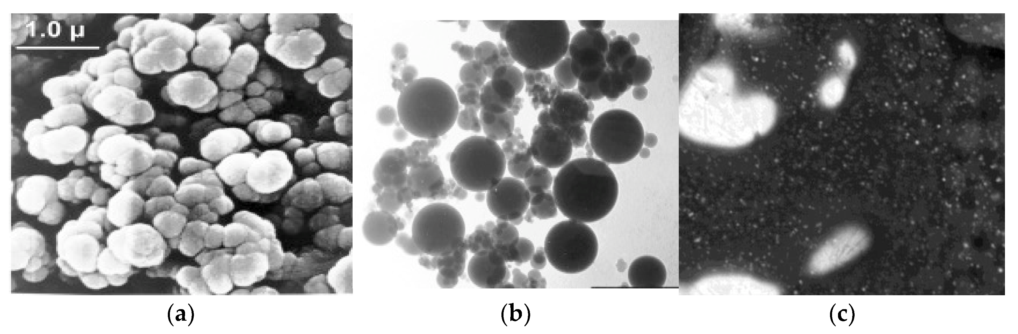 Sustainability 13 03330 g008