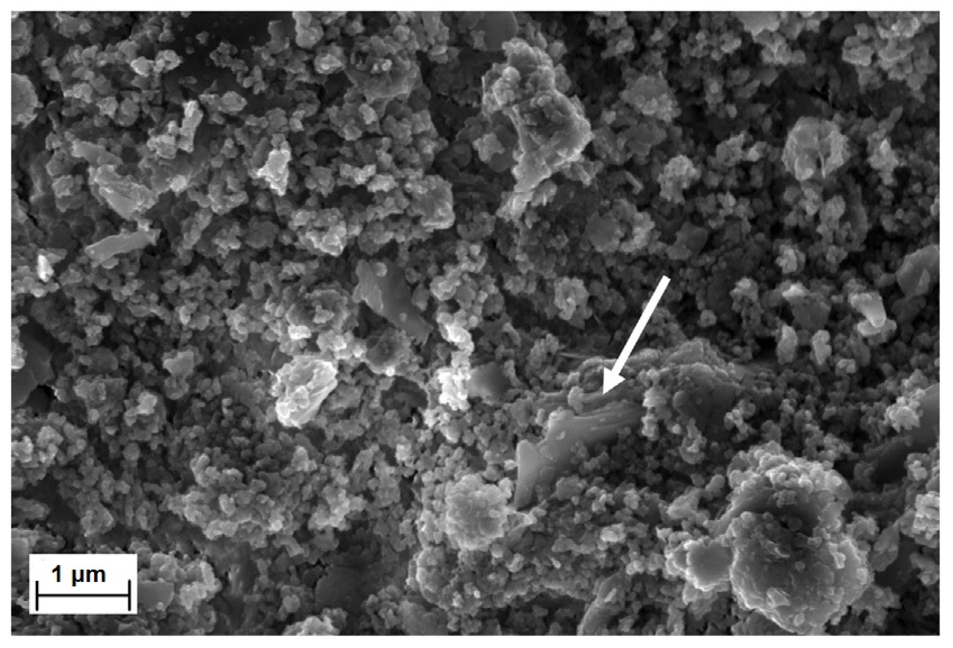 Sustainability 13 03330 g009