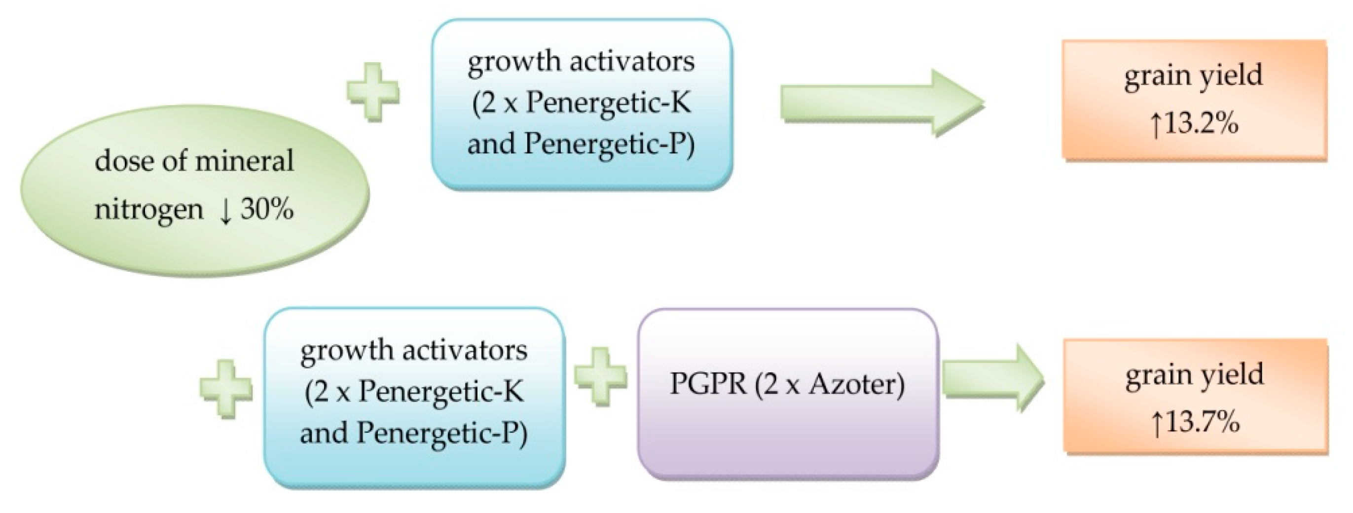 Sustainability 13 05834 g005