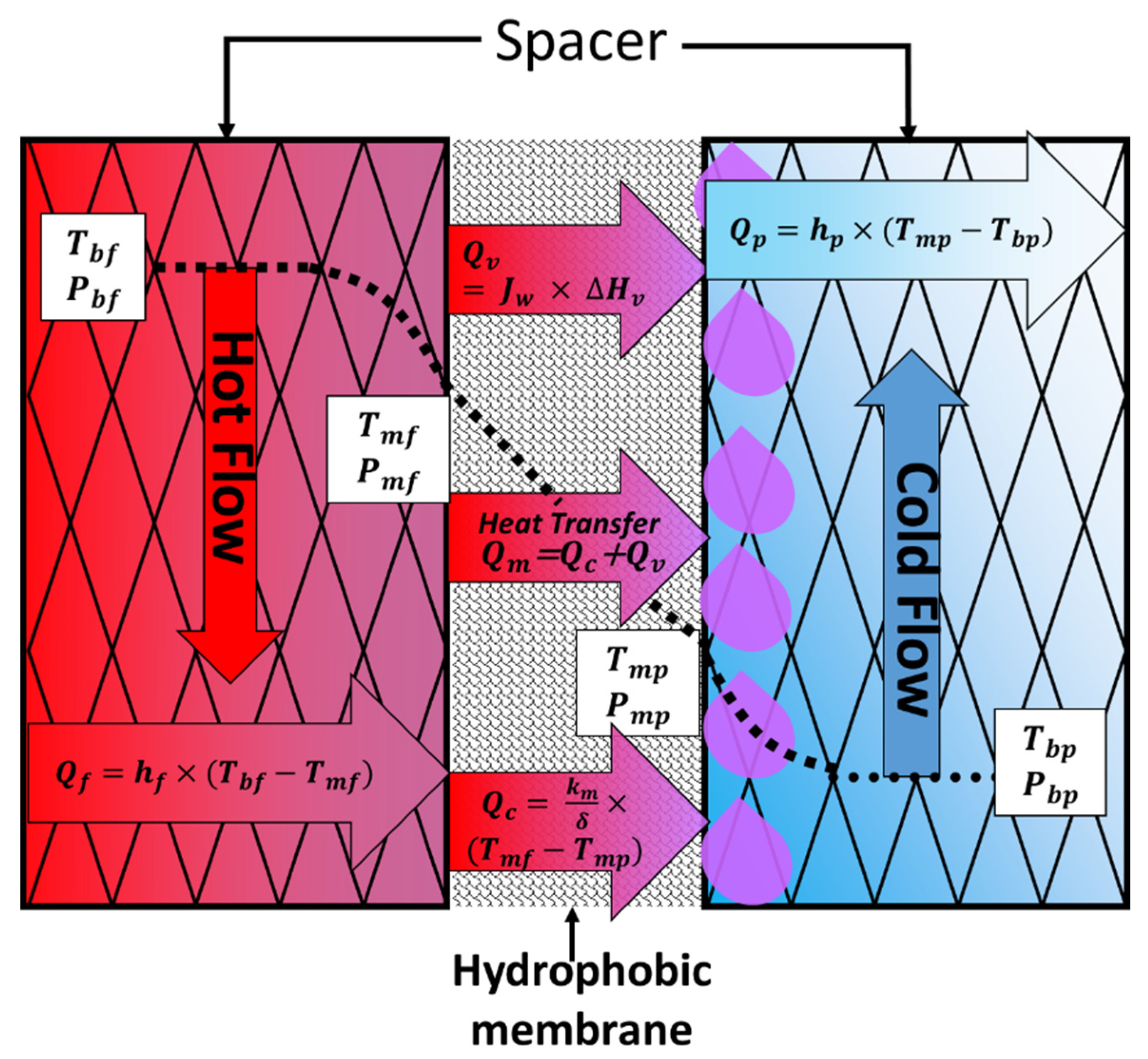 Sustainability 13 10860 g002