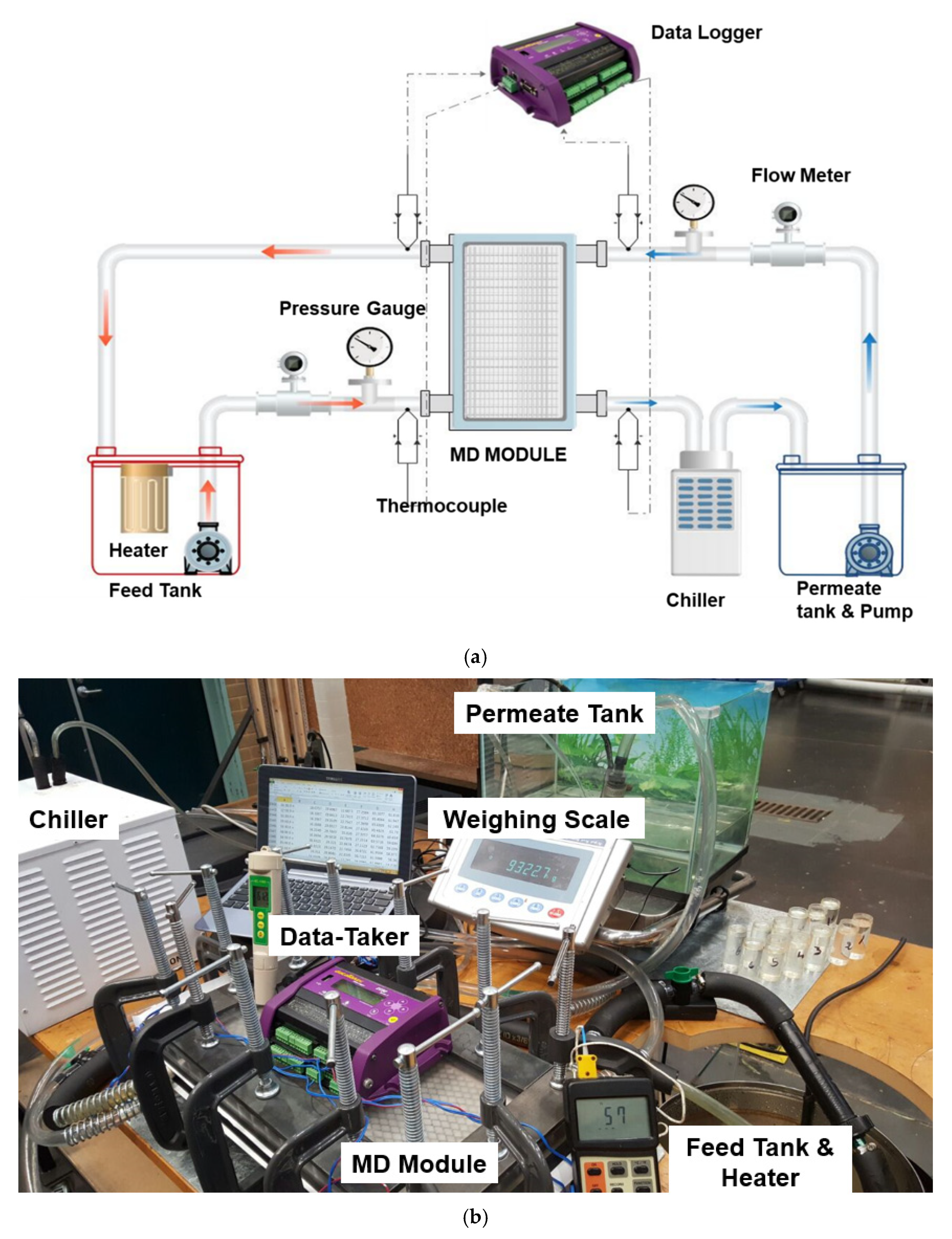Sustainability 13 10860 g005