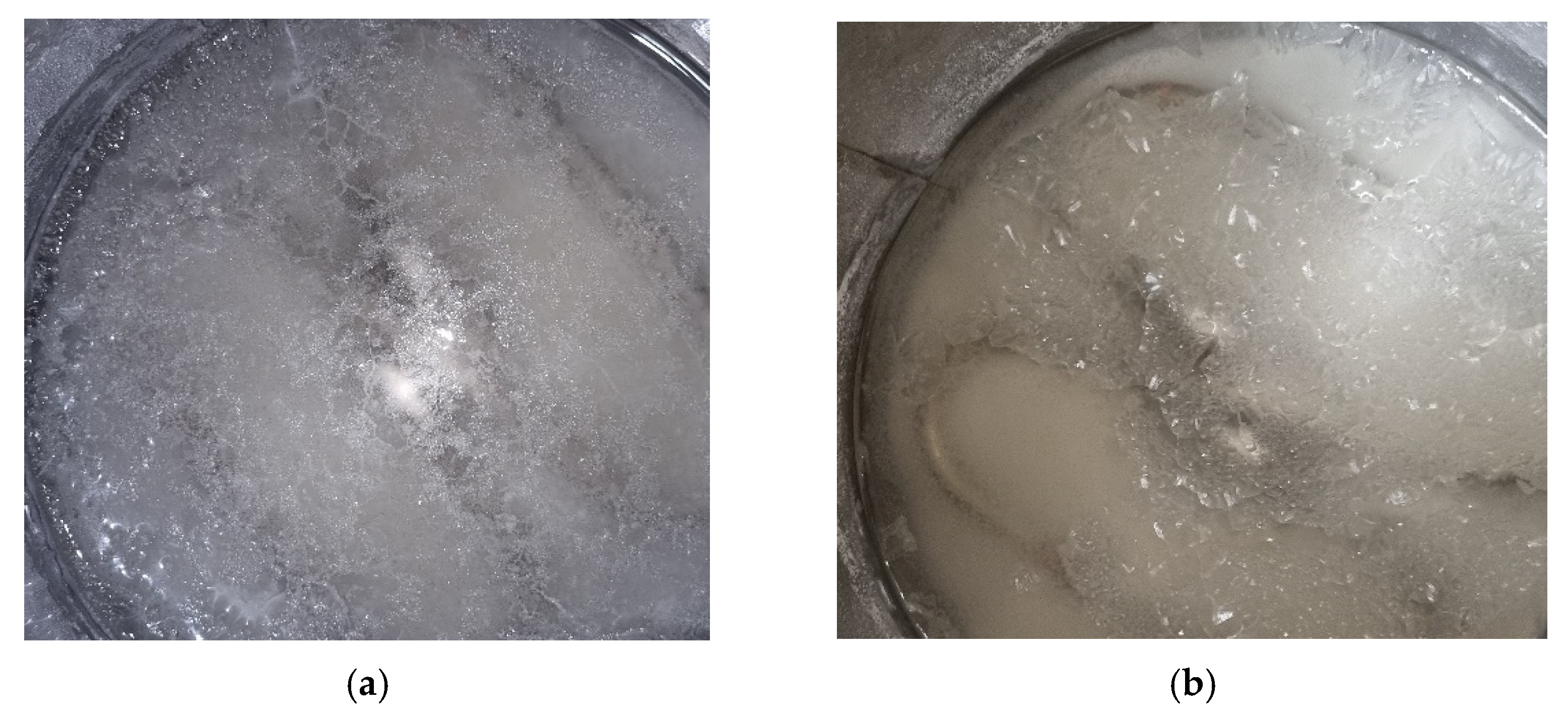 Sustainability 13 10860 g012