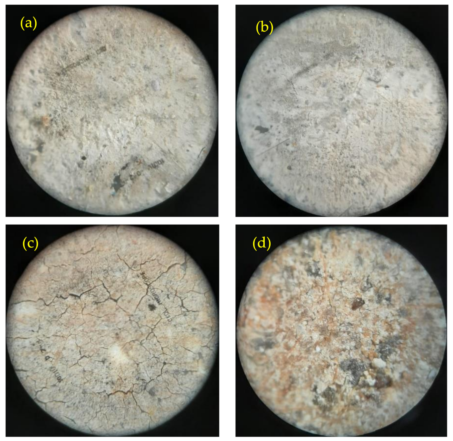 Sustainability 13 12610 g016