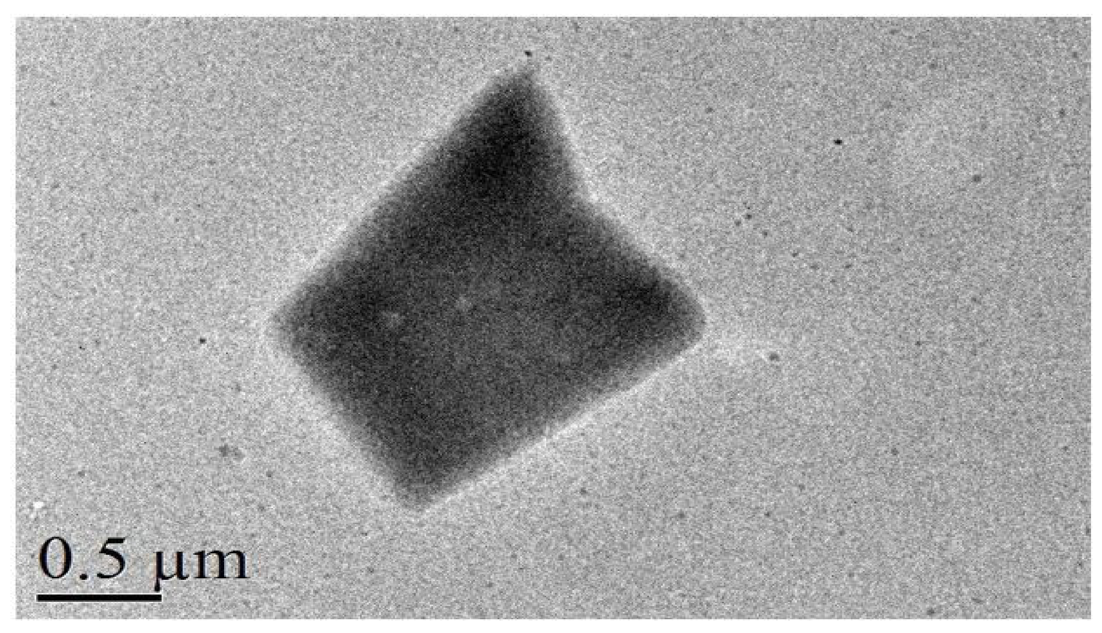 Sustainability 14 04544 g003