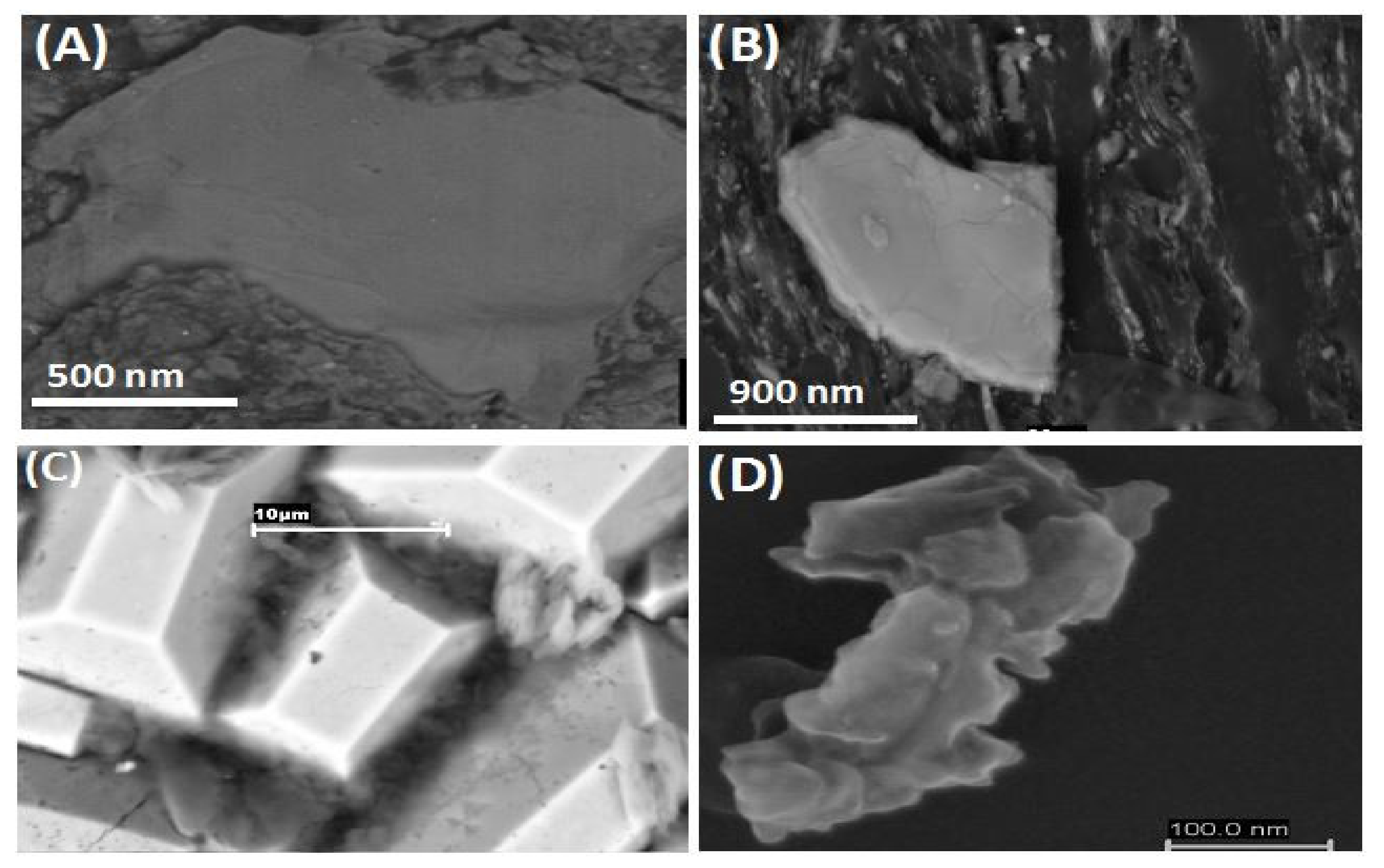 Sustainability 14 04544 g005