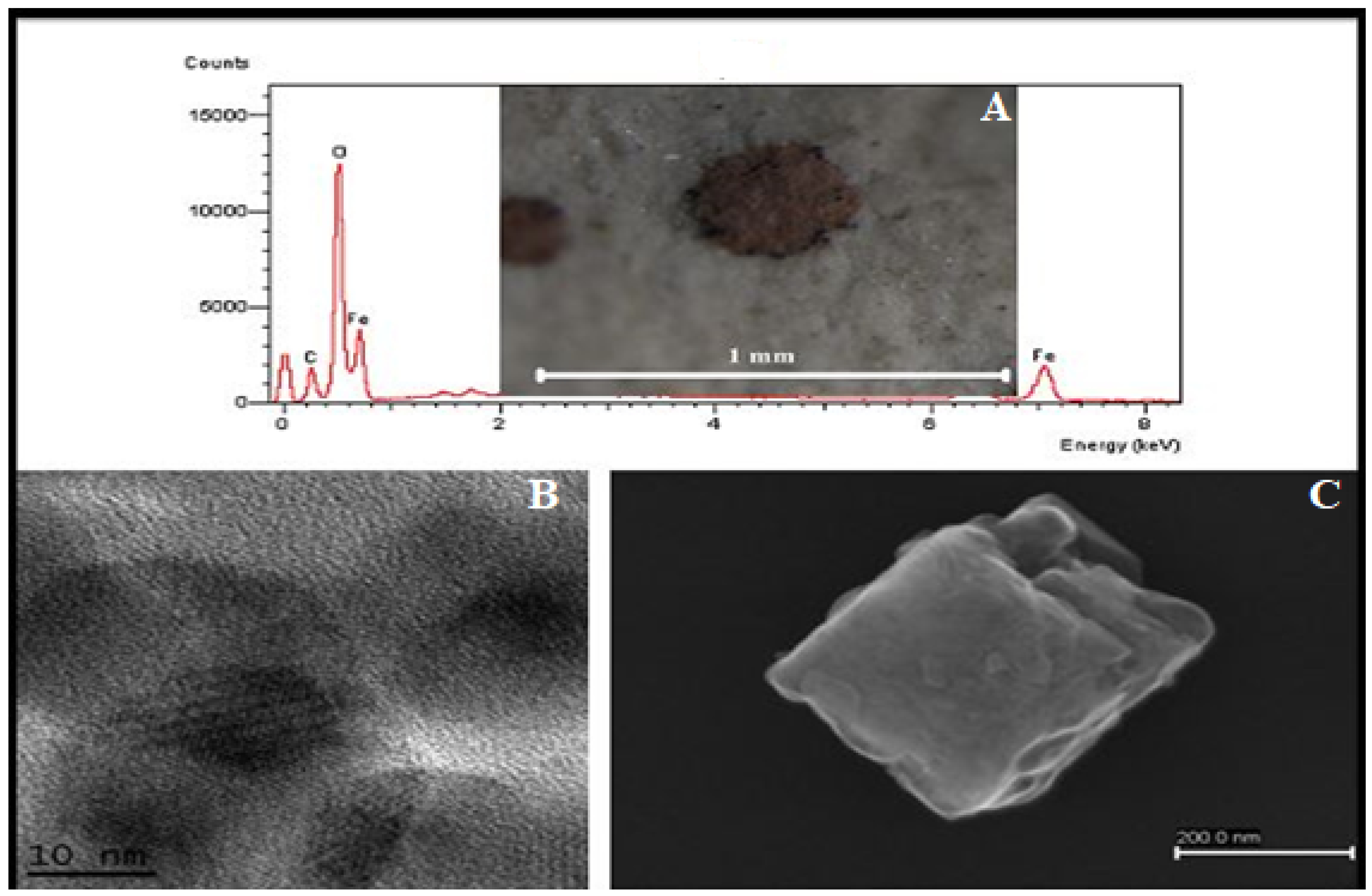 Sustainability 14 04544 g006