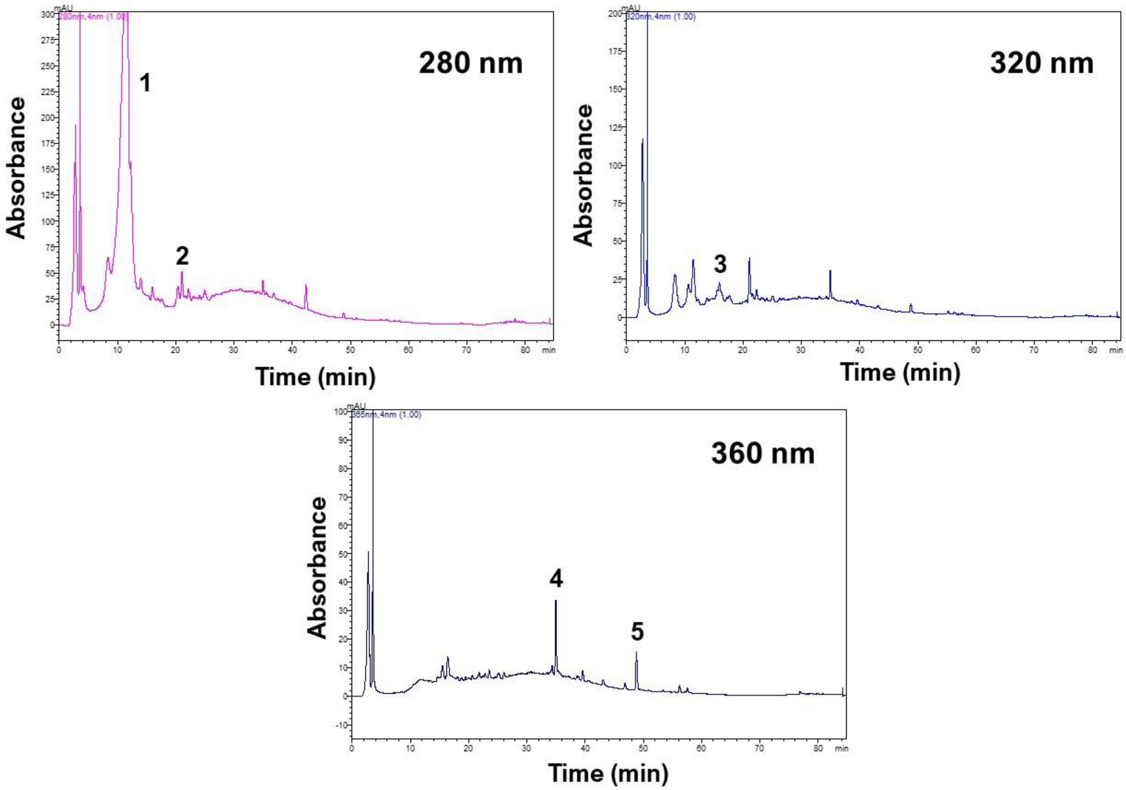 Sustainability 14 06864 g006
