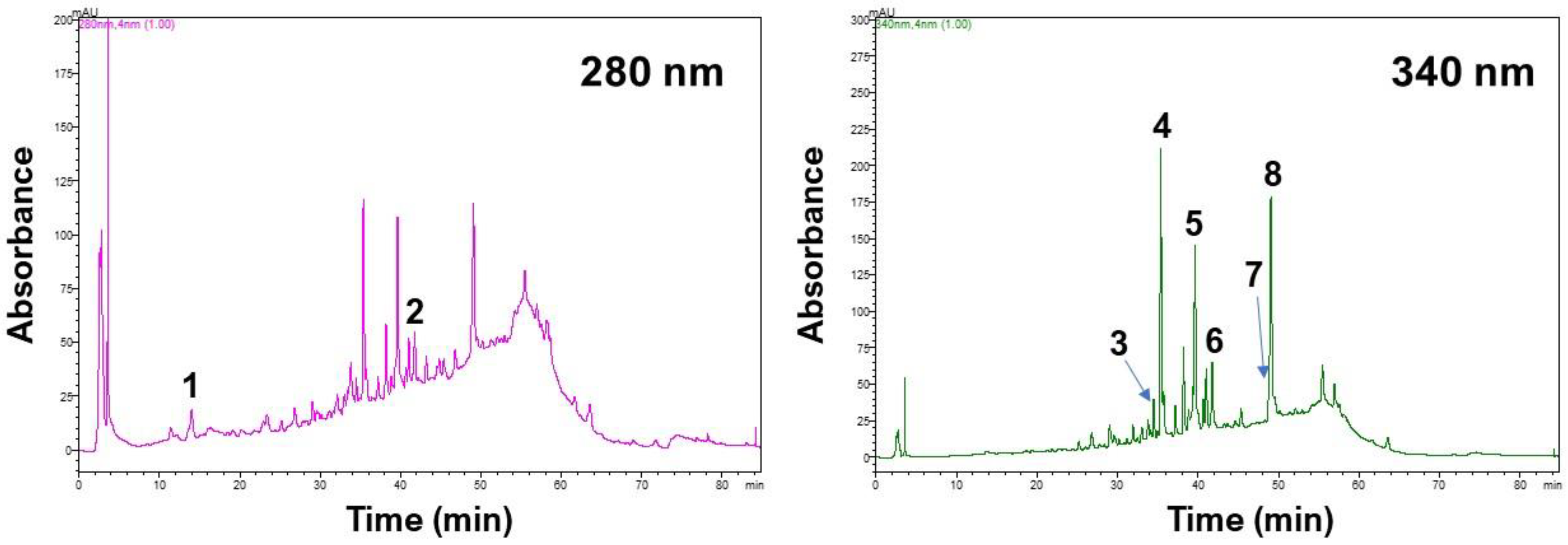 Sustainability 14 06864 g007