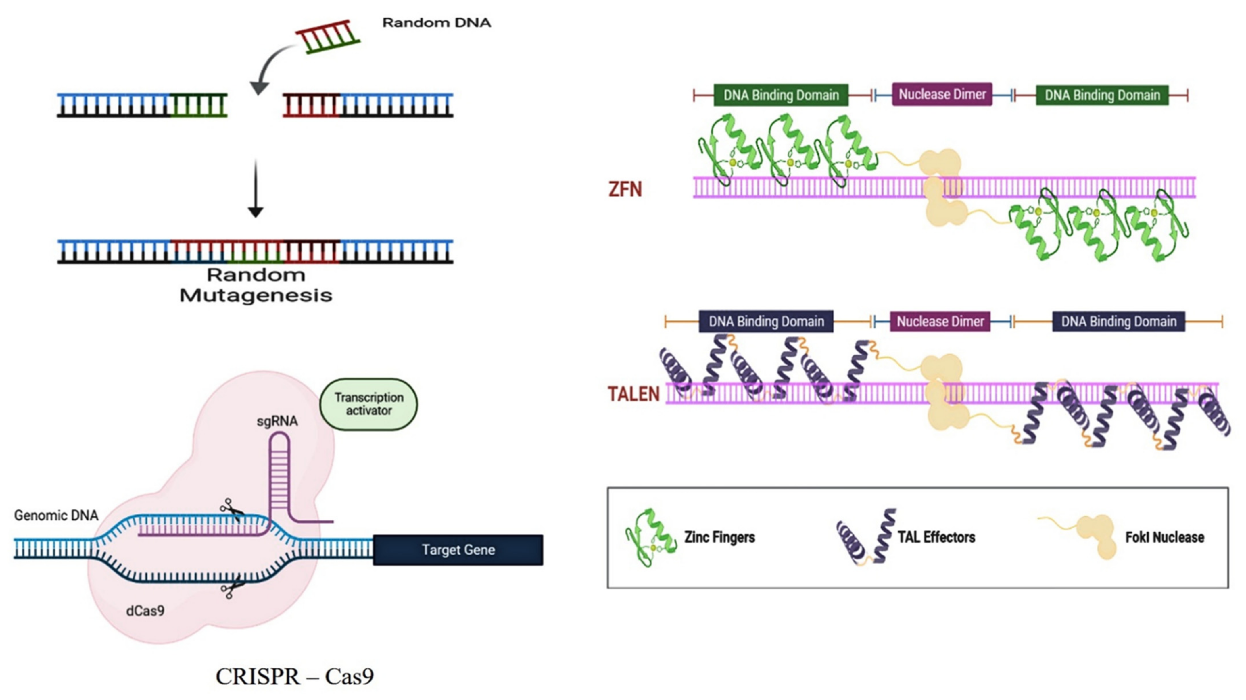 Sustainability 14 15070 g005