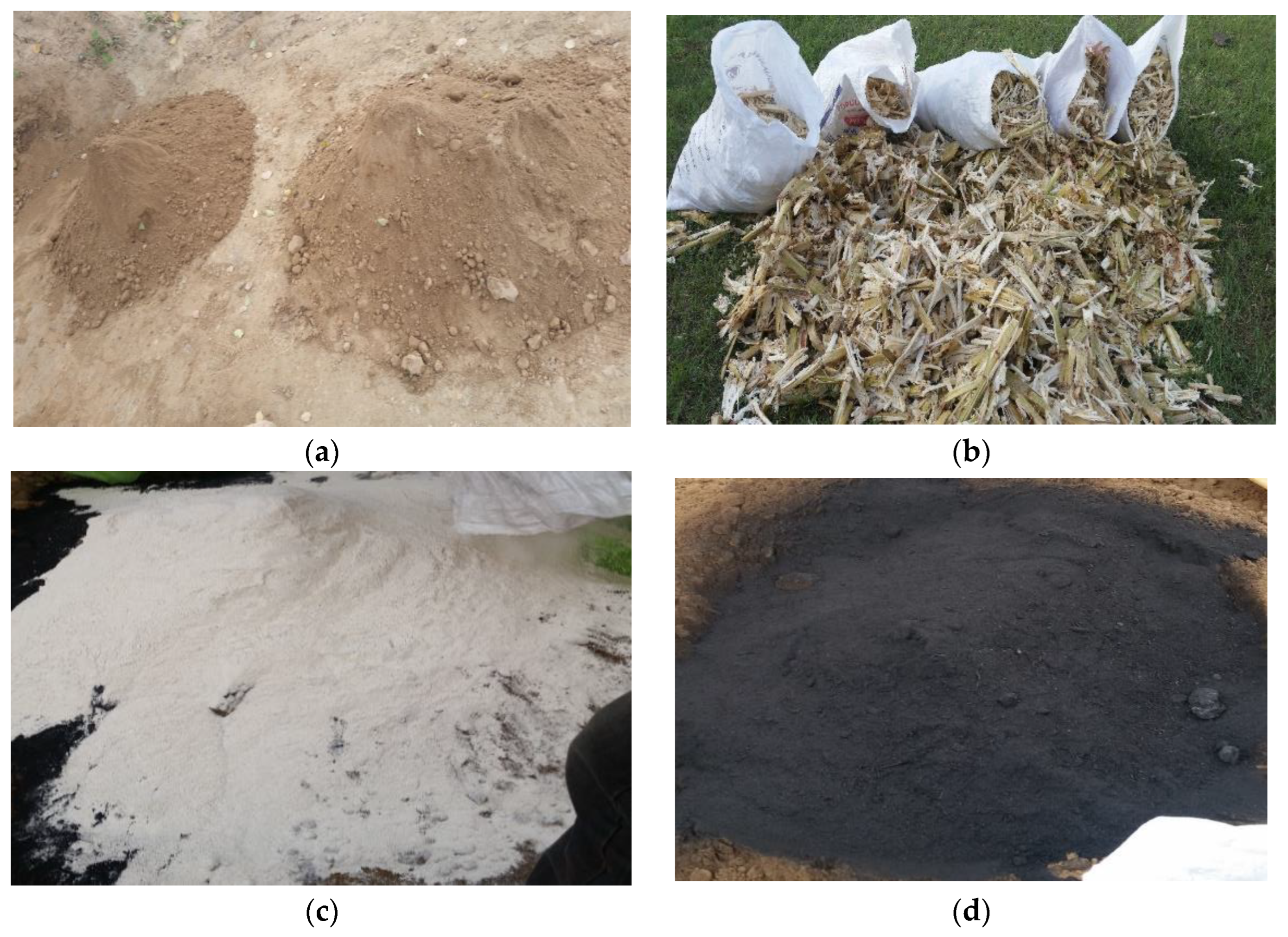 Sustainability 15 14692 g001