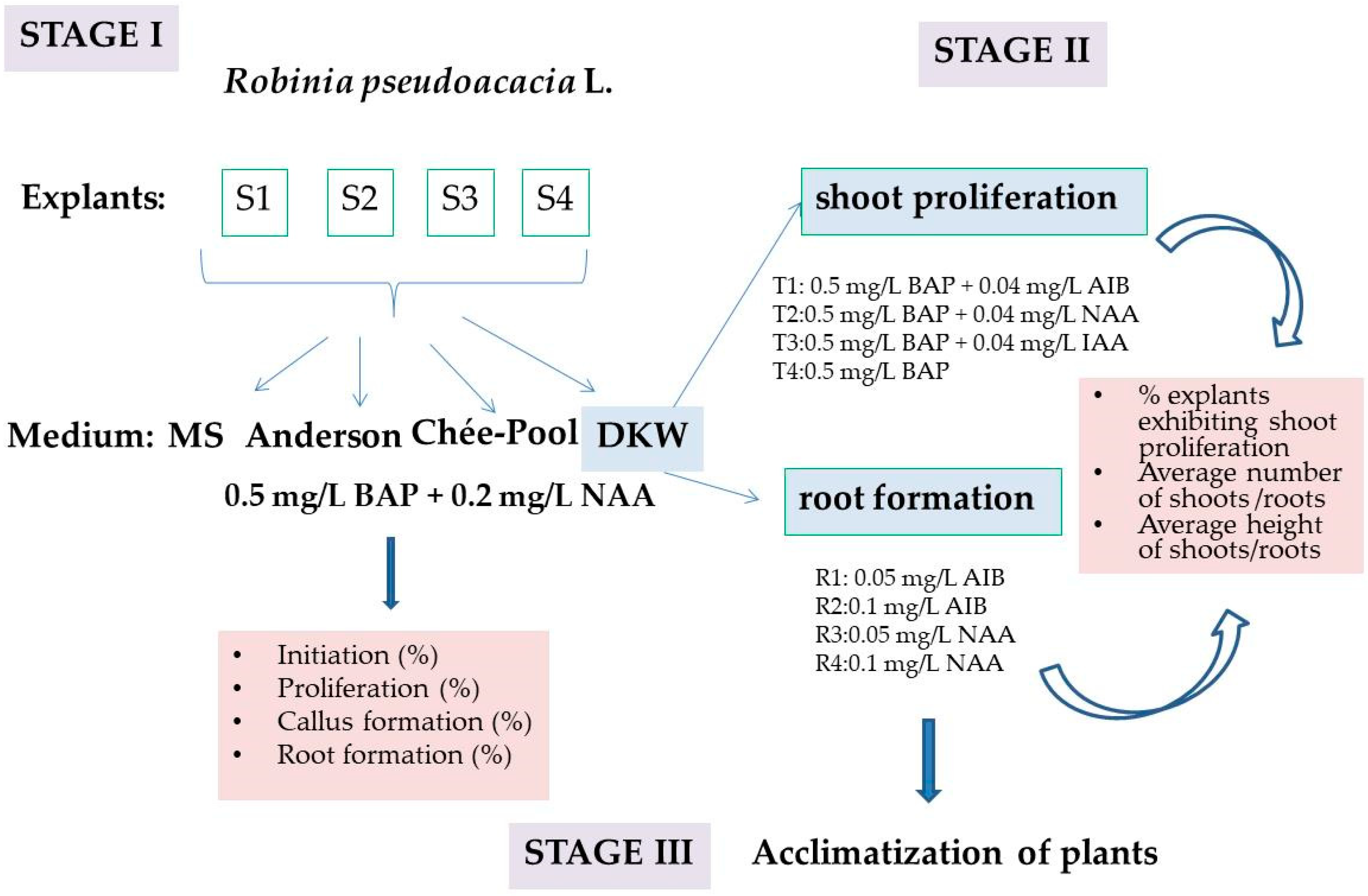 Sustainability 15 15243 g001