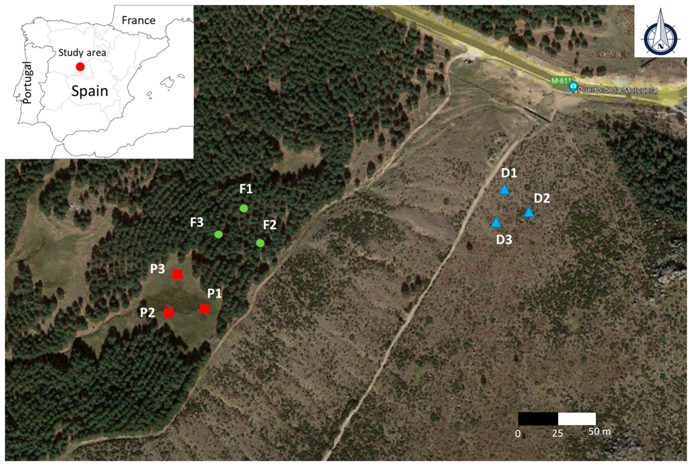 Sustainability 15 16312 g001