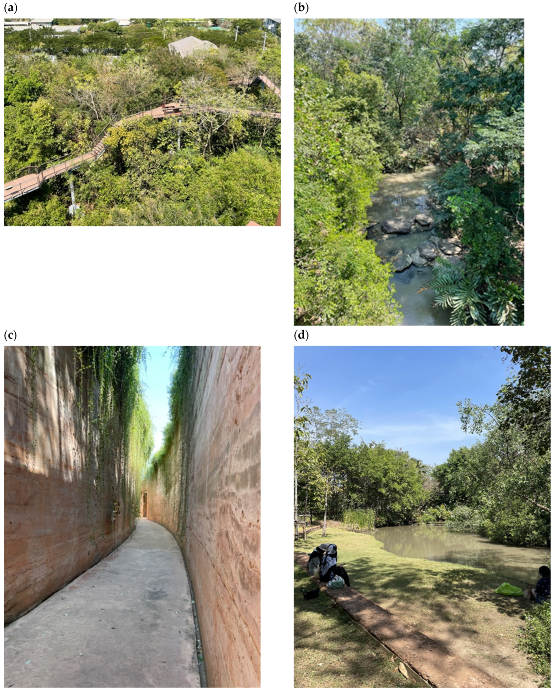 Sustainability 16 03694 g001