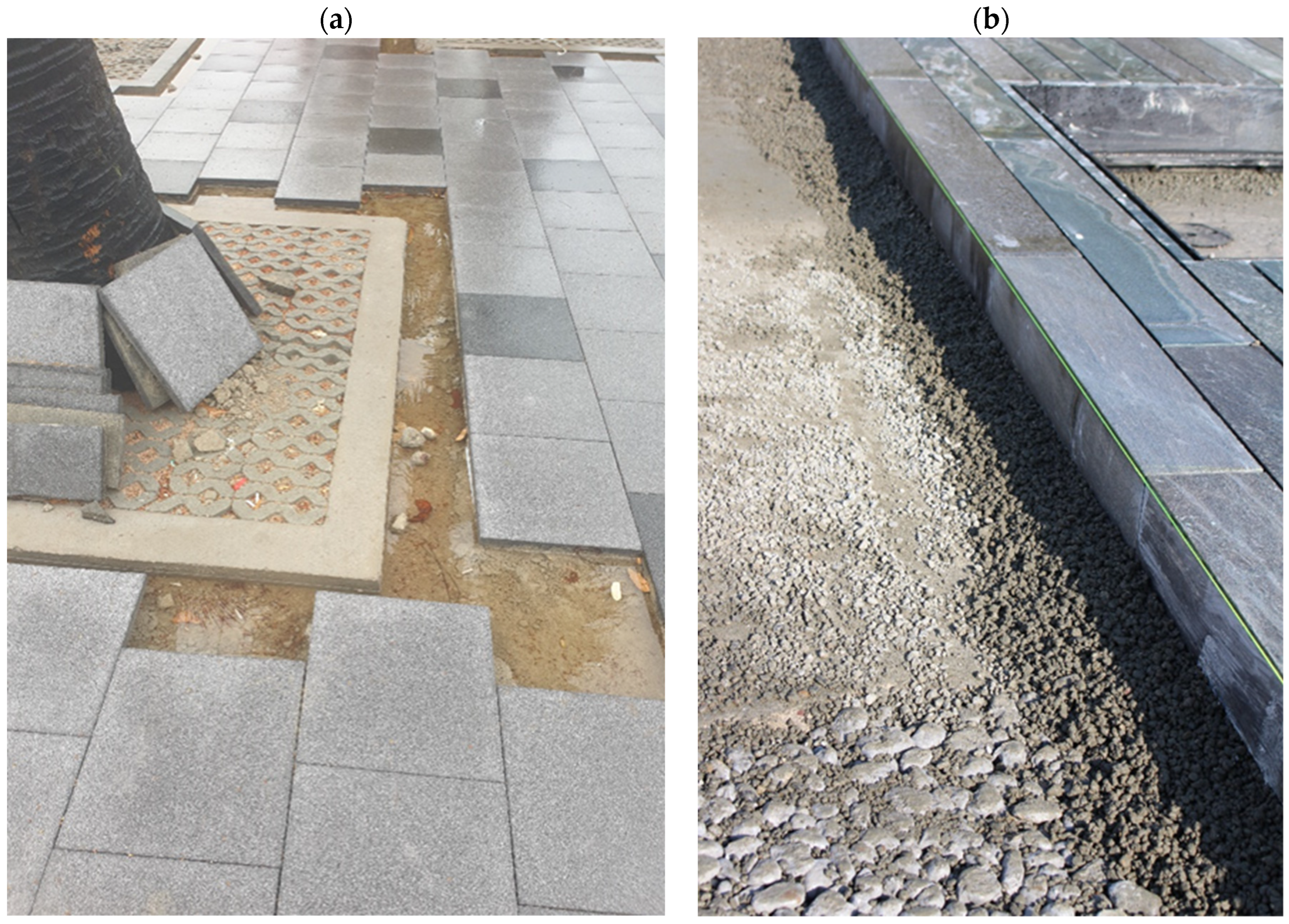 Sustainability 16 03694 g005